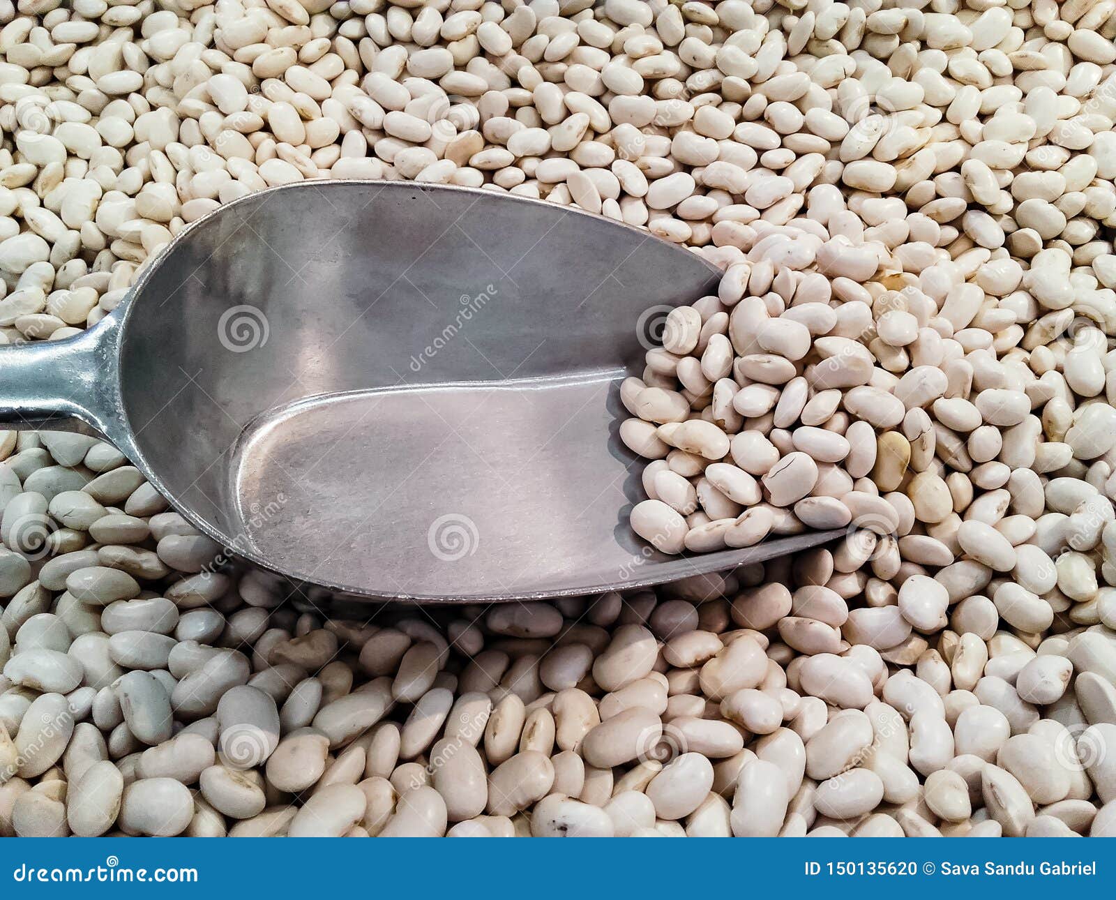 Raw white beans for sale stock photo. Image of close 150135620