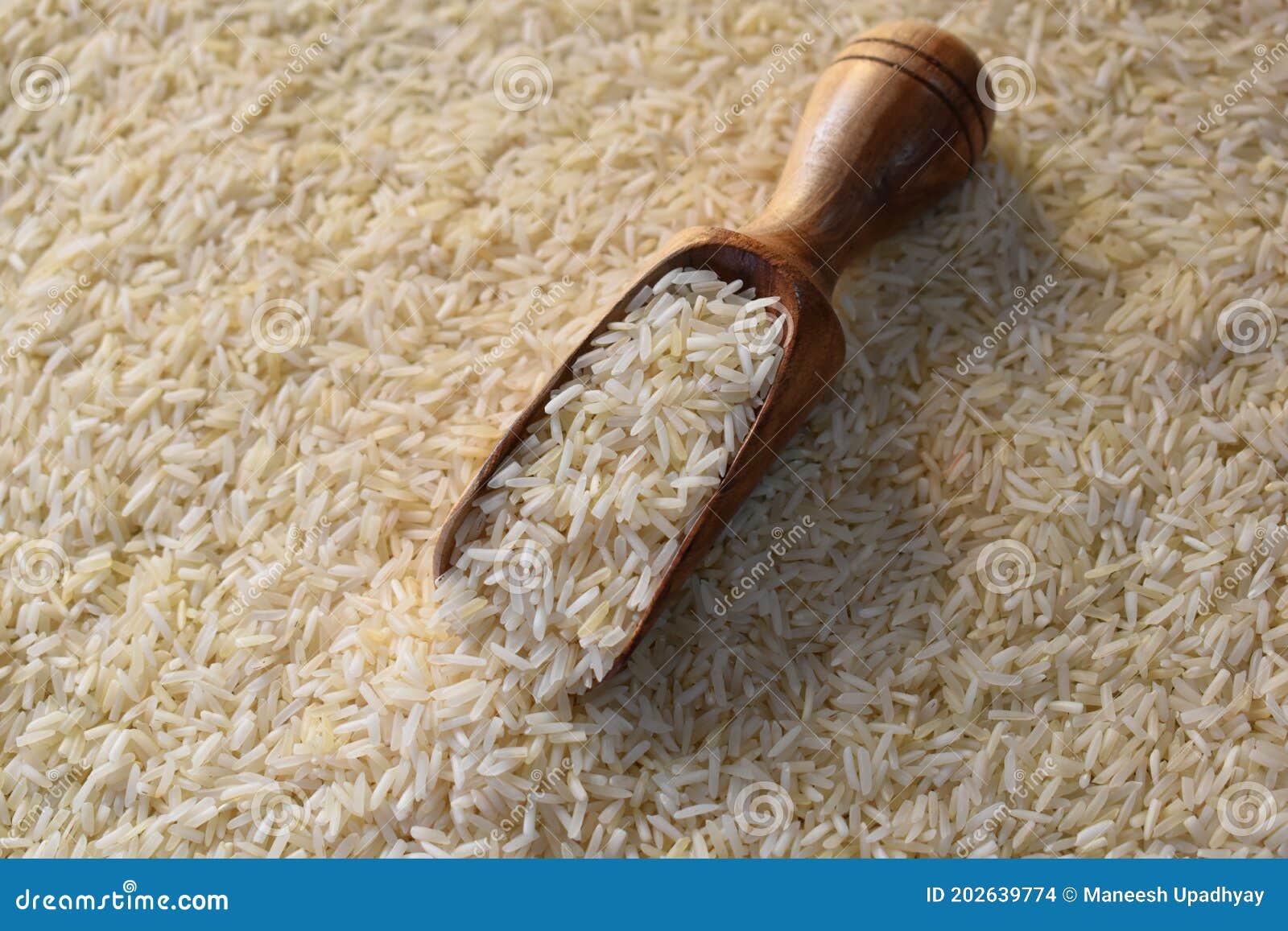 Whole Basmati Aromatic Rice Stock Photo Image of diet, crop 202639774