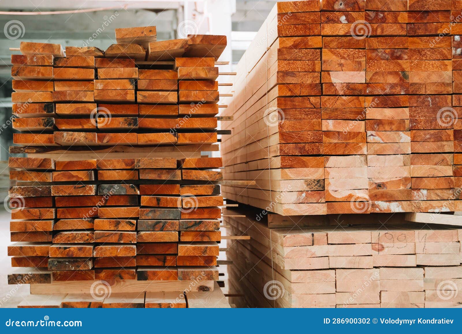 Raw Wood Drying in the Lumber Warehouse Stock Photo Image of