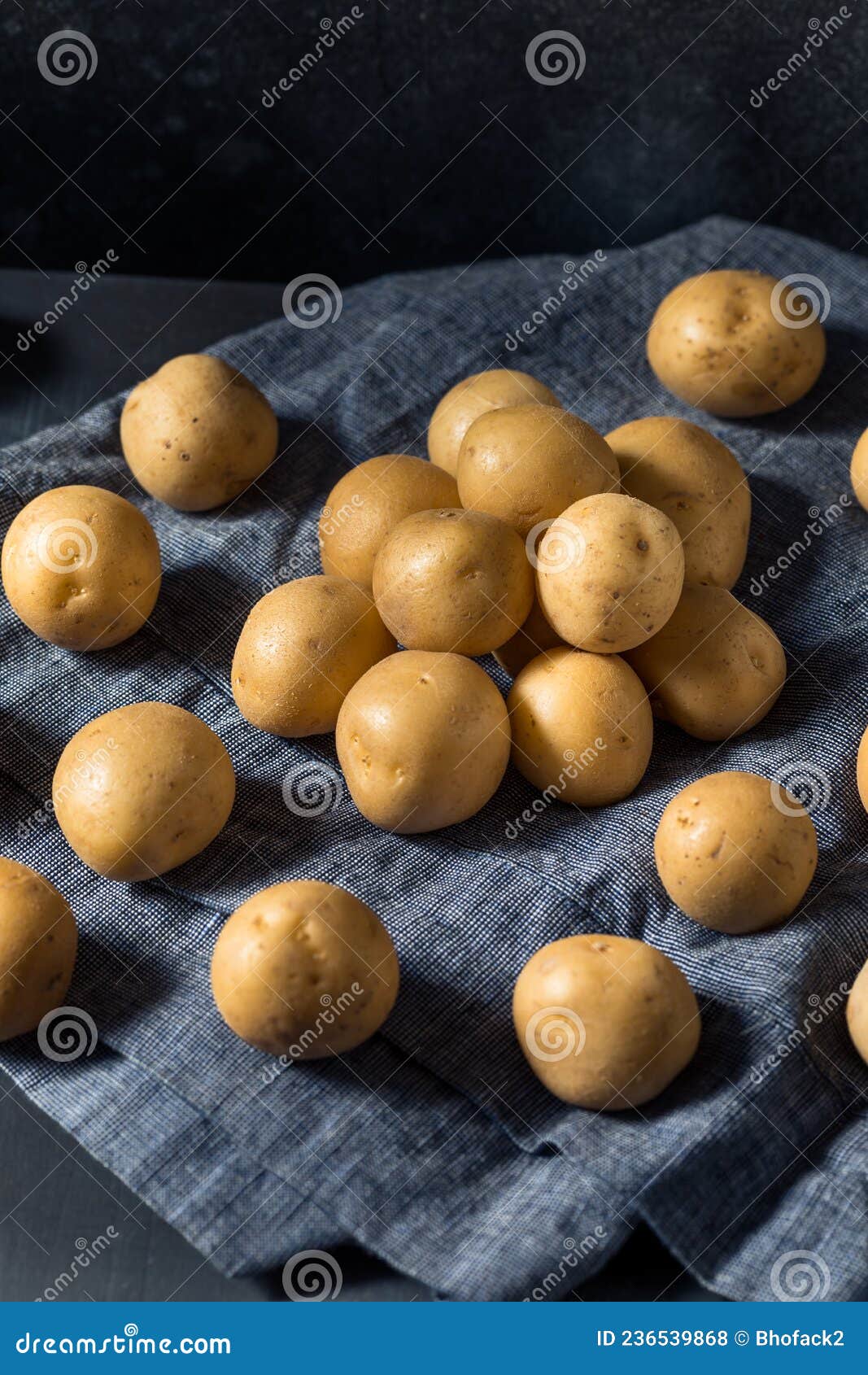 Raw Yellow Organic Baby Potatoes Stock Photo - Image of bowl, potato
