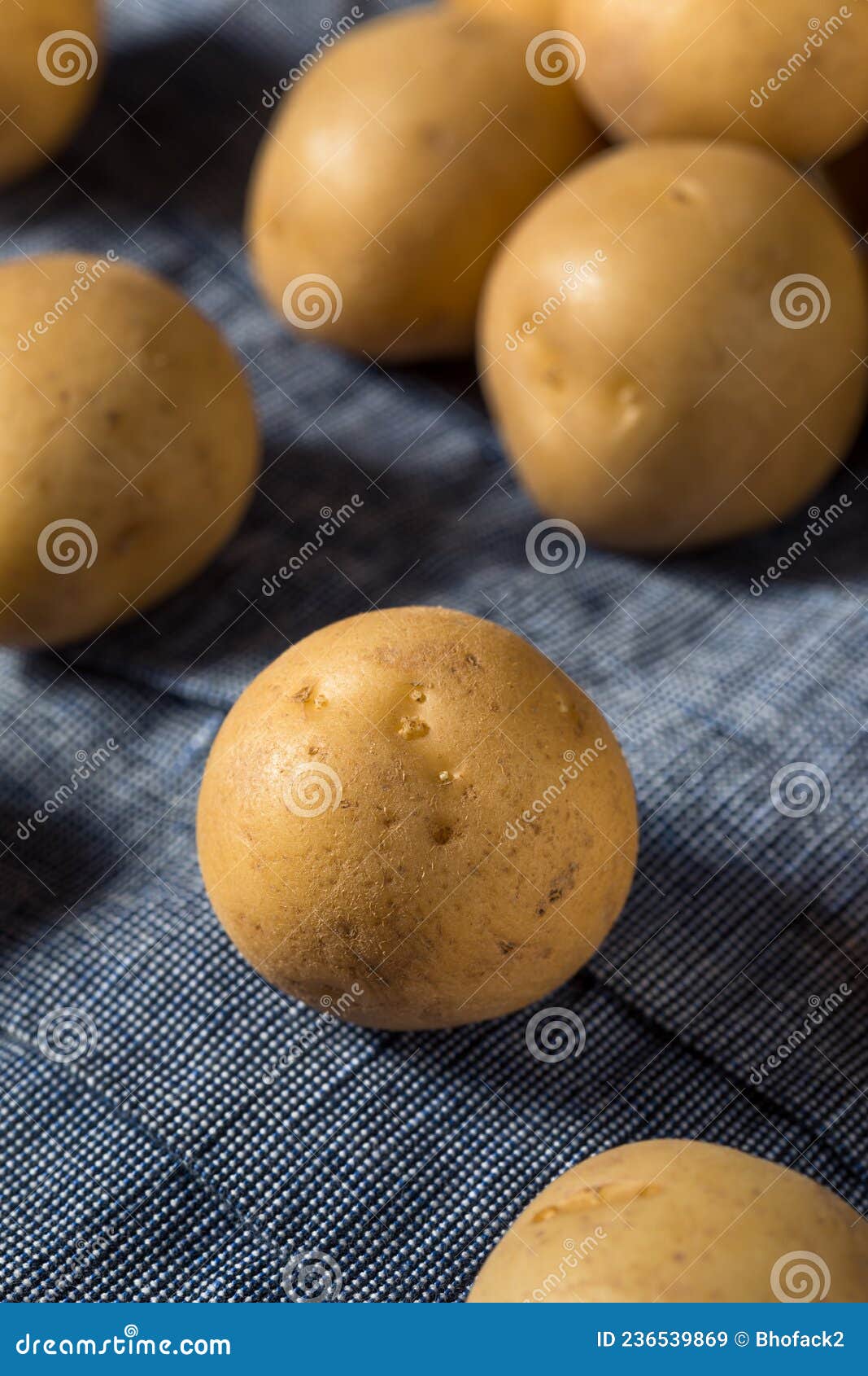 Raw Yellow Organic Baby Potatoes Stock Image Image of vegan, fresh