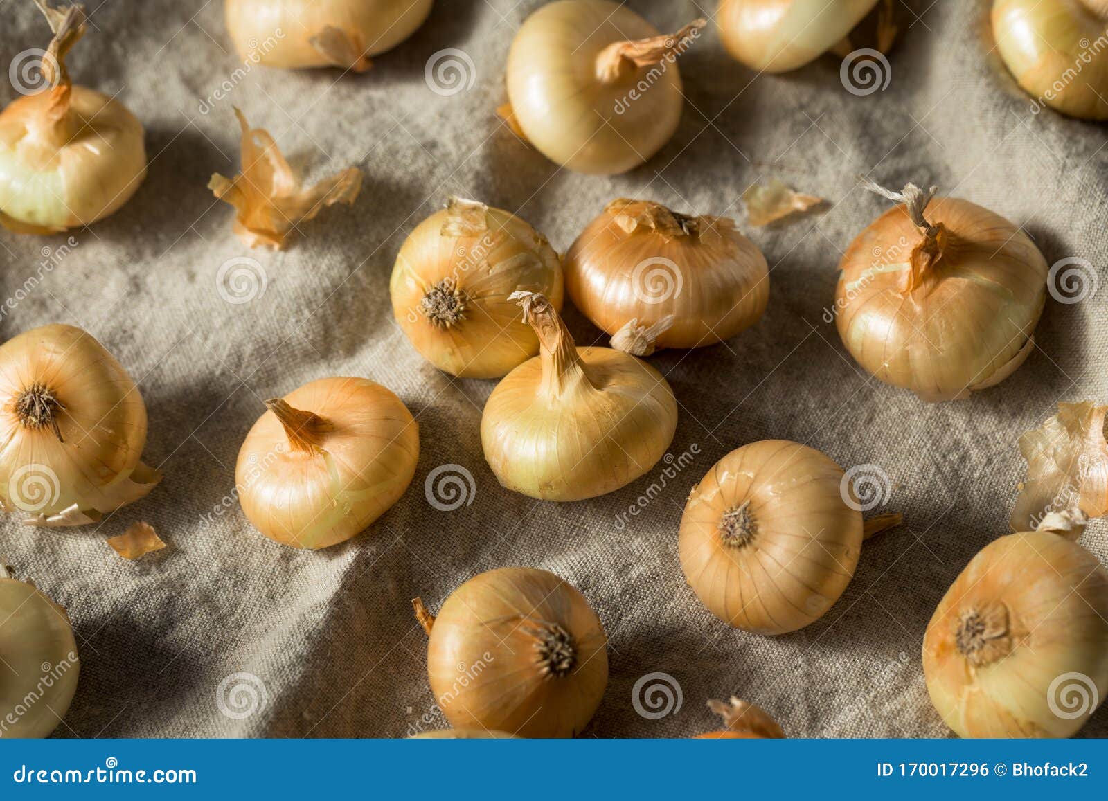 Yellow Organic Frozen Pineapple Stock Photo by bhofack2