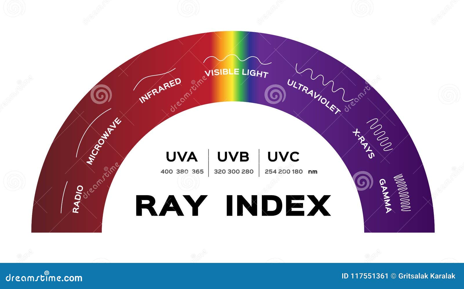 ray index infographic  . radio microwave infrared visible light ultraviolet x-rays and gamma