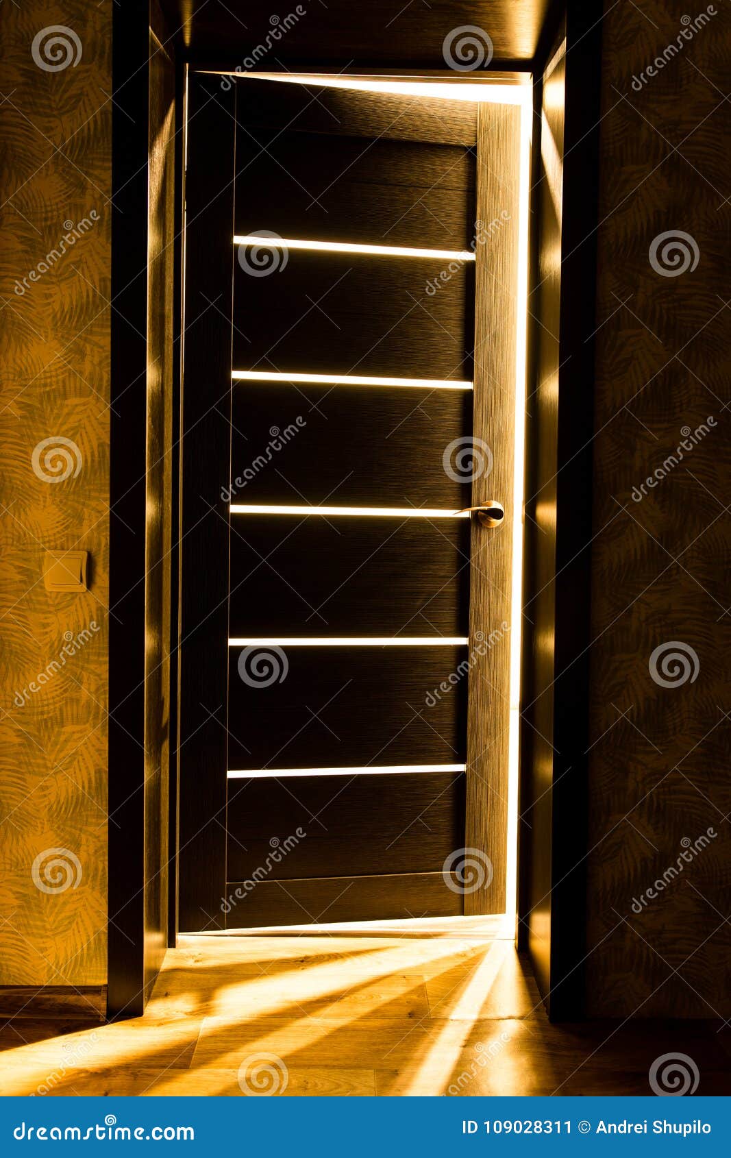 Rays of Light from the Door in a Dark Room Stock Image Image of