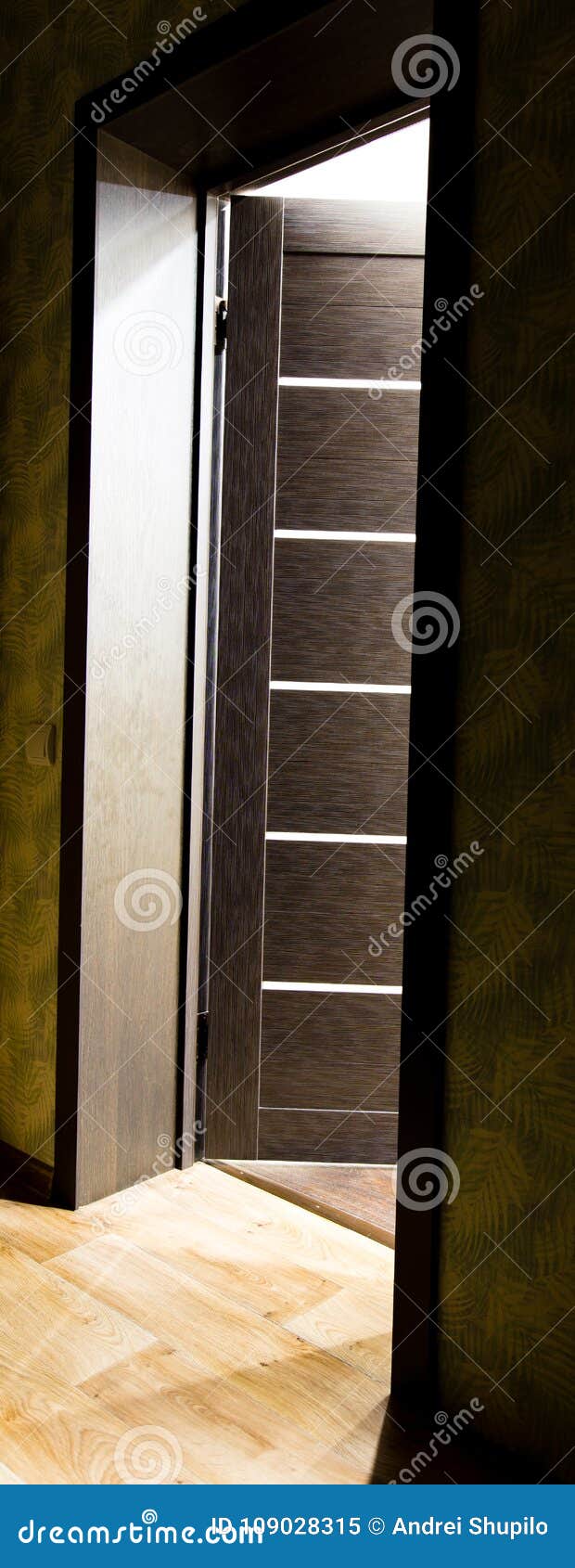 Rays of Light from the Door in a Dark Room Stock Image Image of house, background 109028315