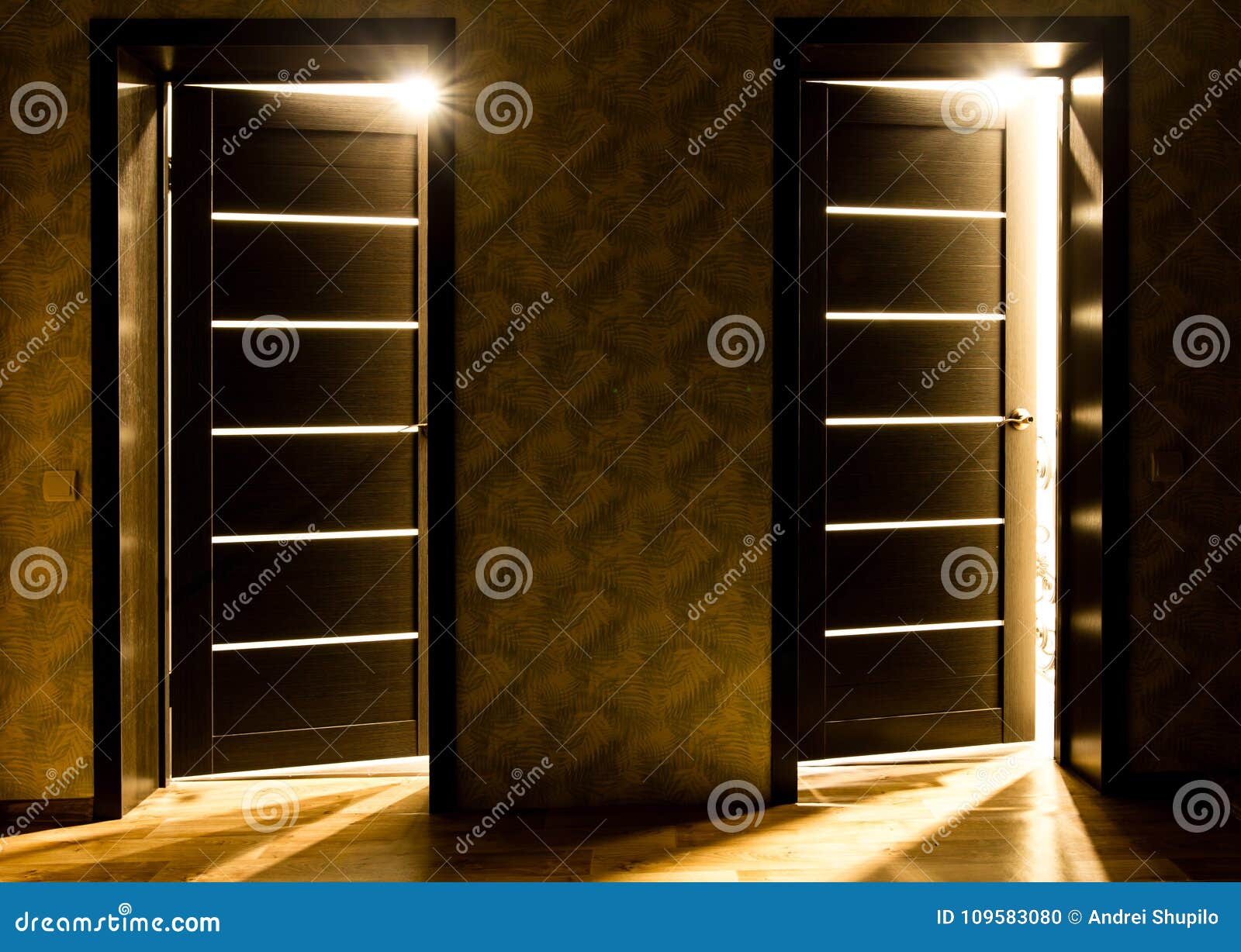 Rays of Light from the Door in a Dark Room Stock Photo Image of beam
