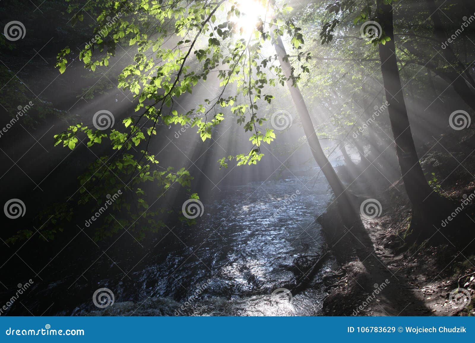 the sun`s rays illuminate the dark gorge