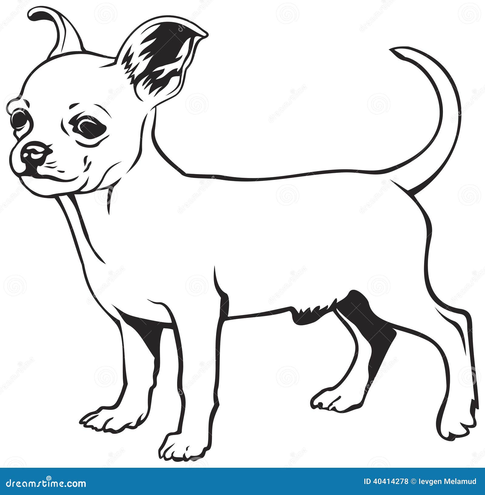 Raza Del Perro De La Chihuahua Ilustración del Vector