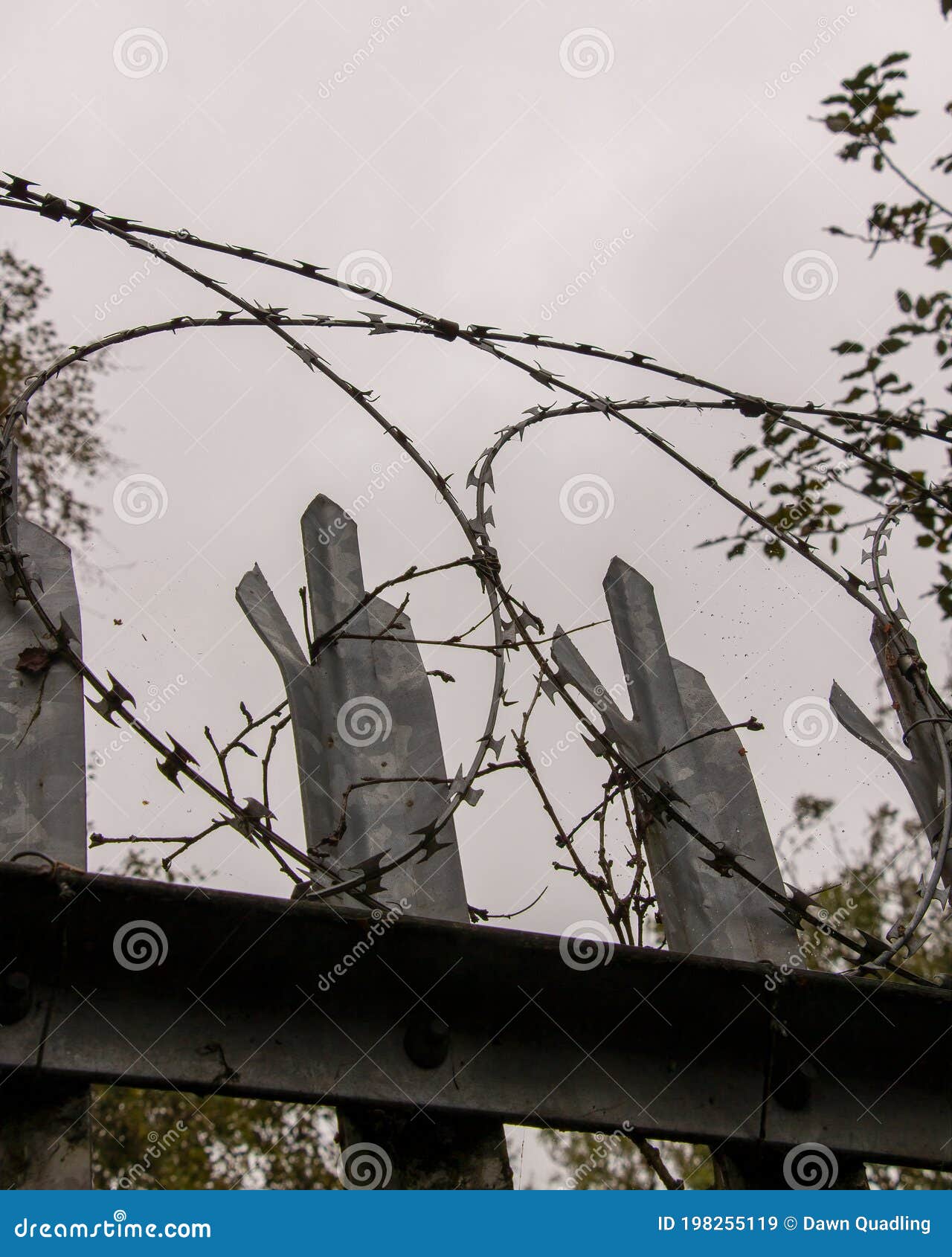 razor wire, high security barbed wire to stop intruders climbing fences