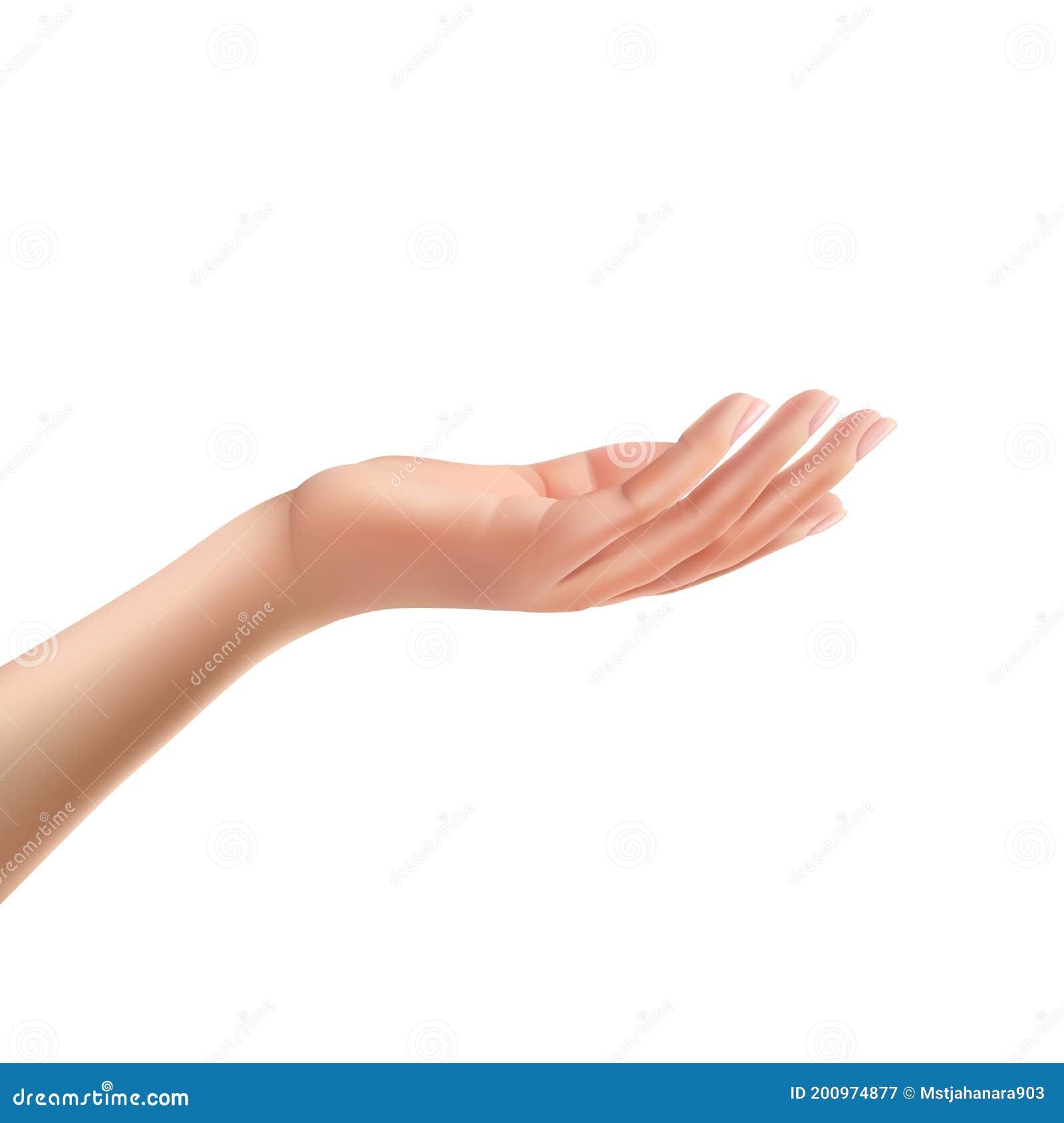 Female Hand Open Palm Up Stock Illustrations 265 Female Hand Open Palm Up Stock Illustrations Vectors Clipart Dreamstime Female Hand Open Palm Up Stock Illustrations 265 Female Hand Open Palm Up Stock Illustrations Vectors Clipart Dreamstime