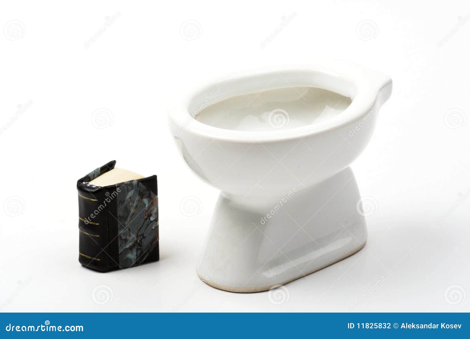 Reading in the bathroom stock photo. Image of learning 11825832