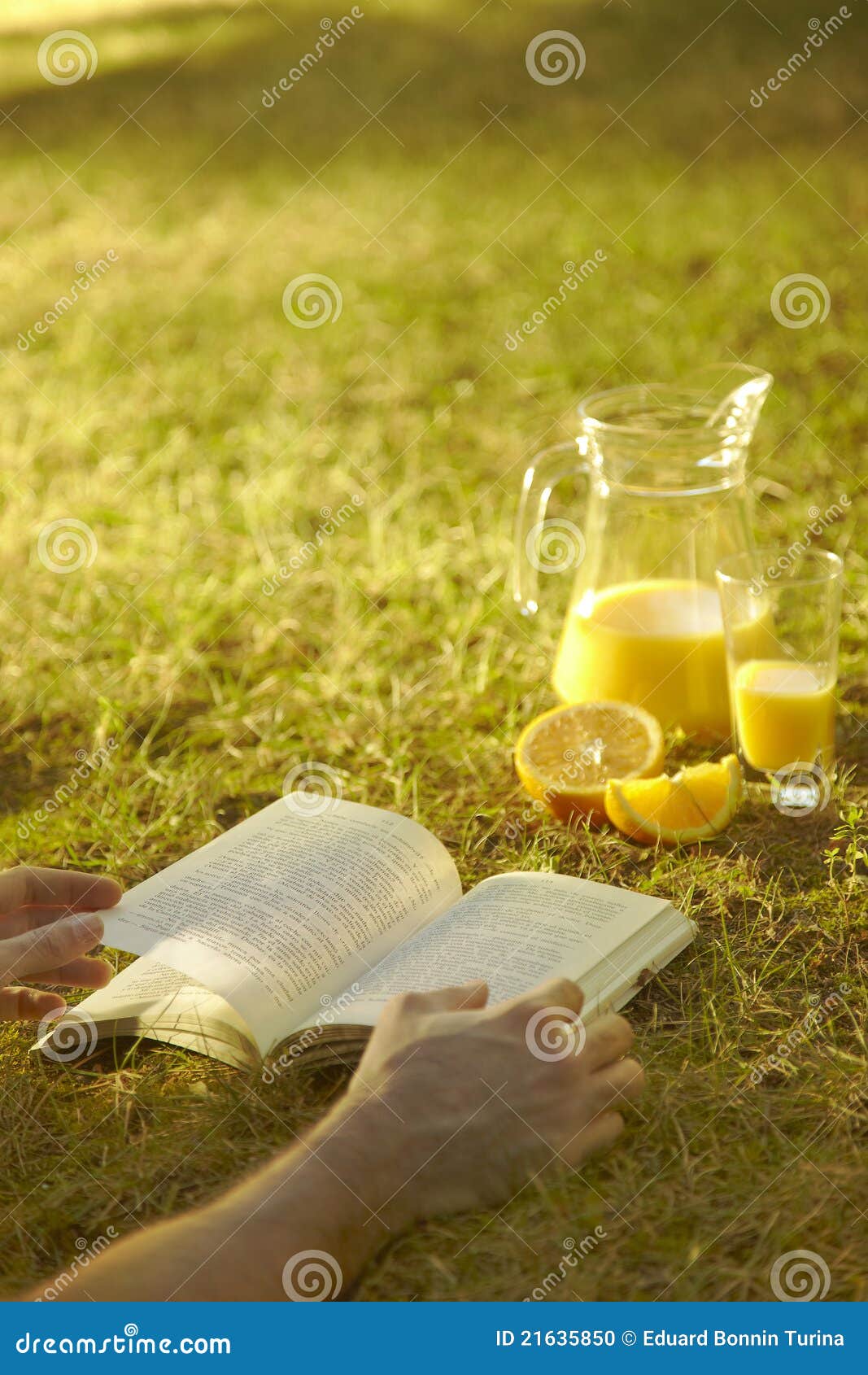 reading a book outdoors