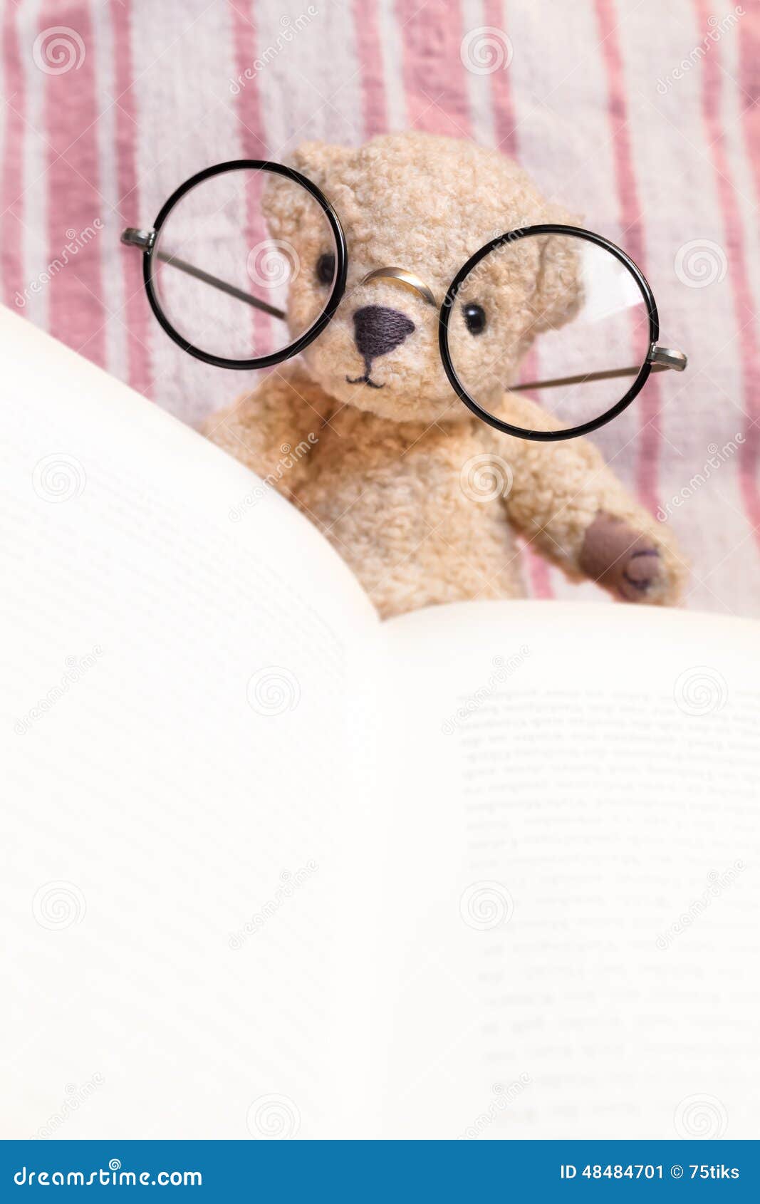 Reading Teddy Bear With Glasses Stock Photo - Image: 48484701