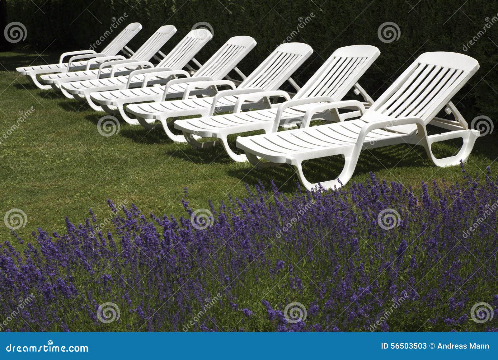 White Deck Chairs Ready for Relaxation Stock Image Image of deck