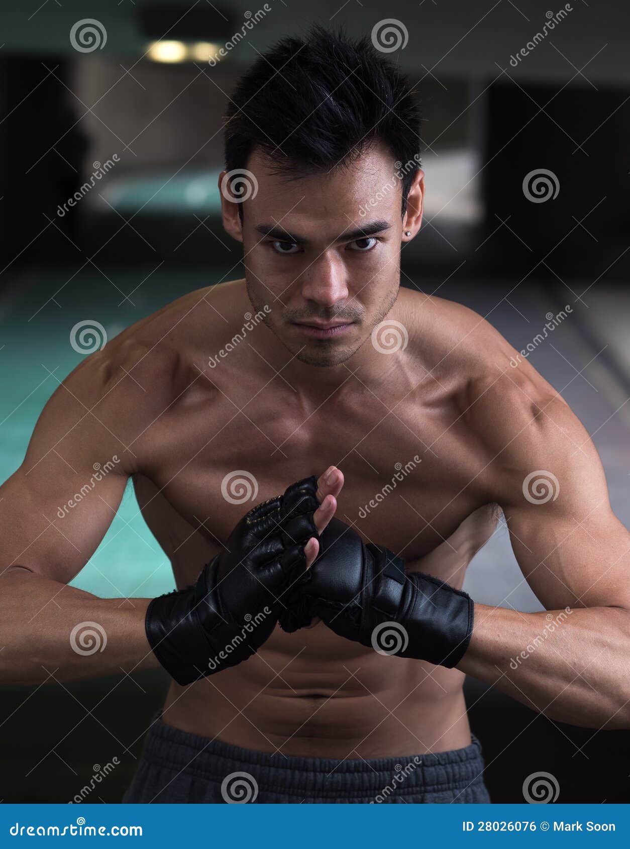 Ready to Fight stock photo. Image of lifestyle, character 28026076