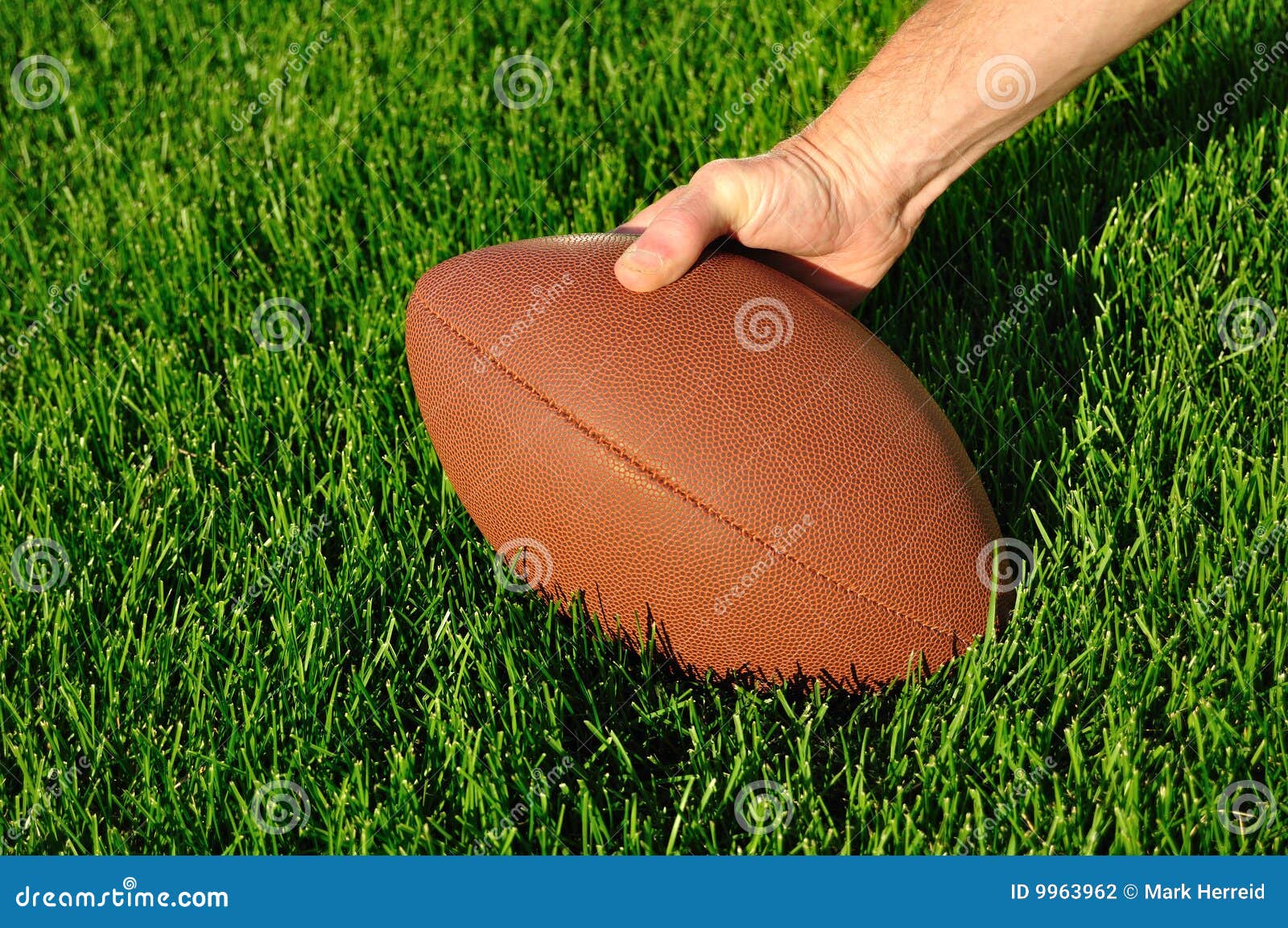 Ready To Hike Football on a Grass Playing Field Stock Photo Image of