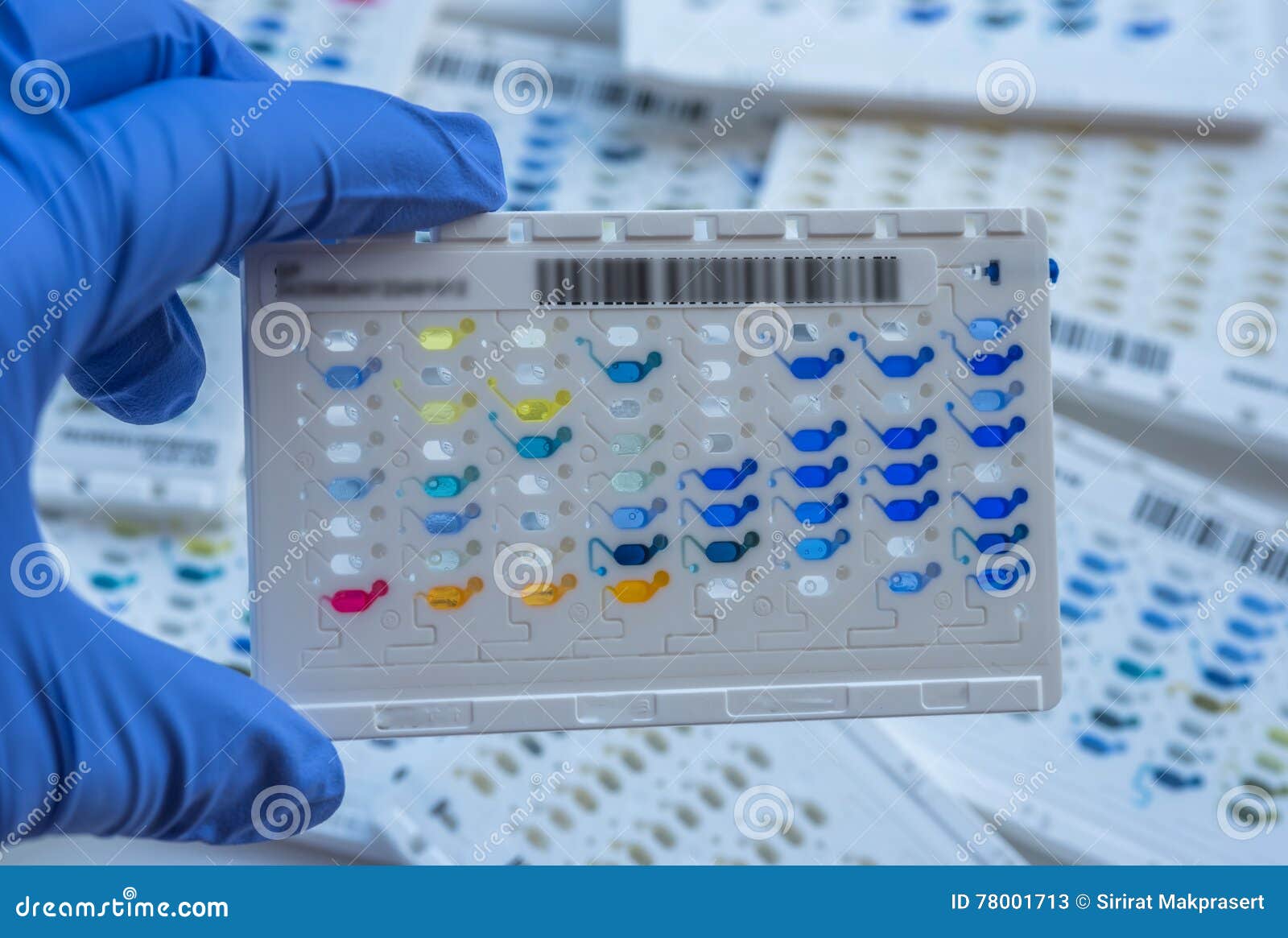 Reagent Strip for Biochem and Drug Sensitivity Test. Stock Image