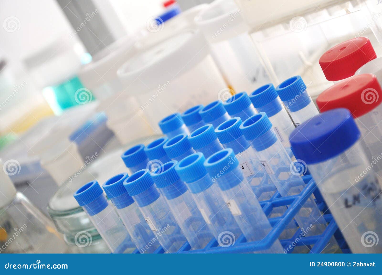 Bottiglia Da Laboratorio Vetro 500ml Con Tappo Blu GL45 - Per Reagenti E Conservazione Liquidi - Foto 7