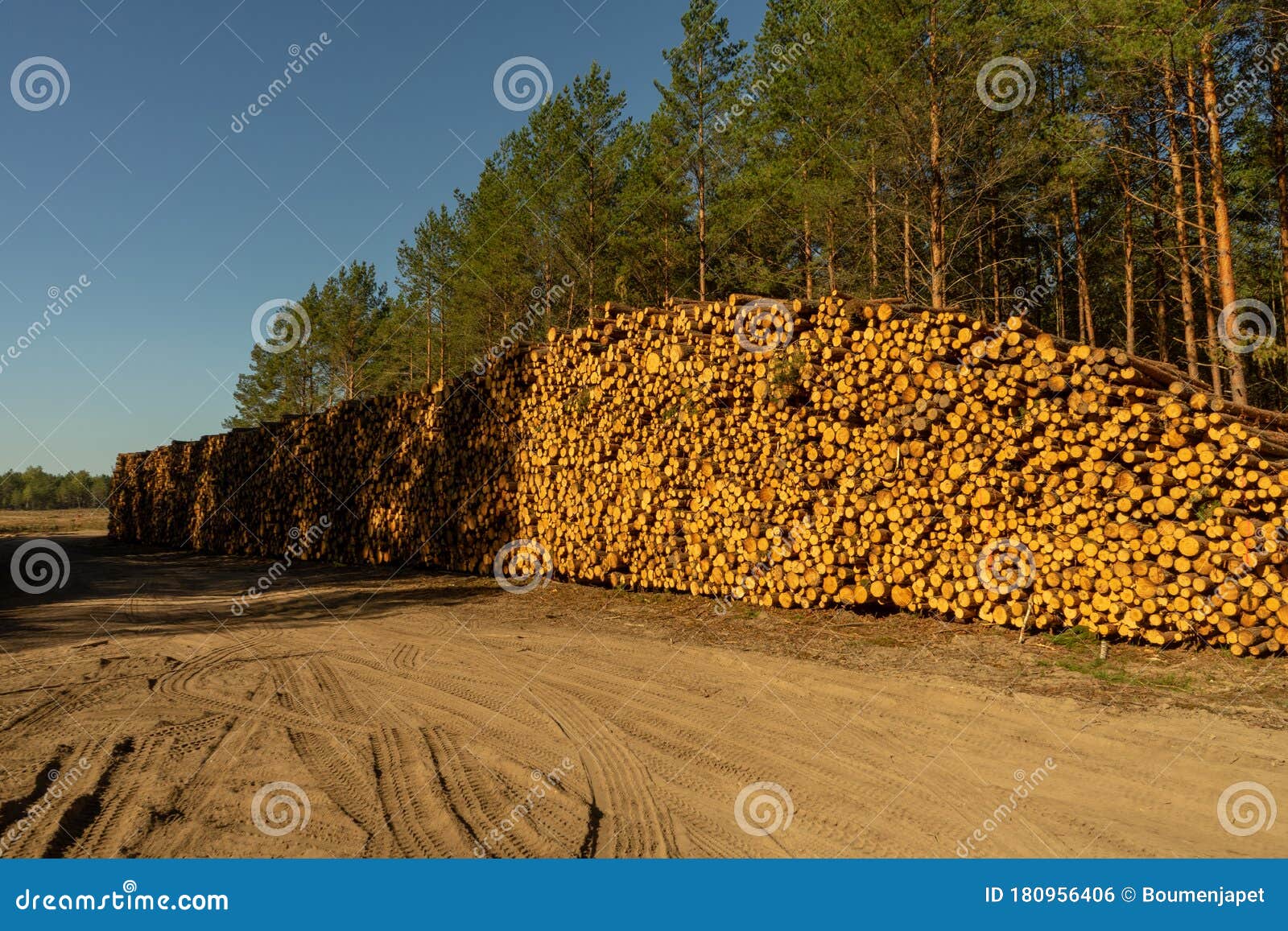 trees cut down per day