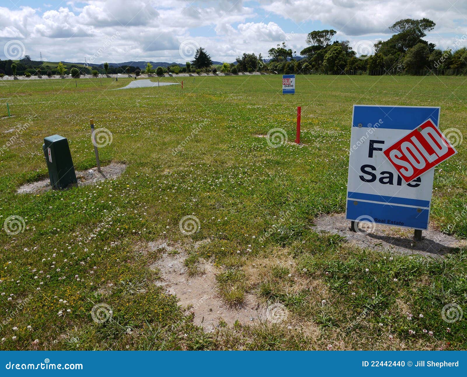 real estate: land for sale