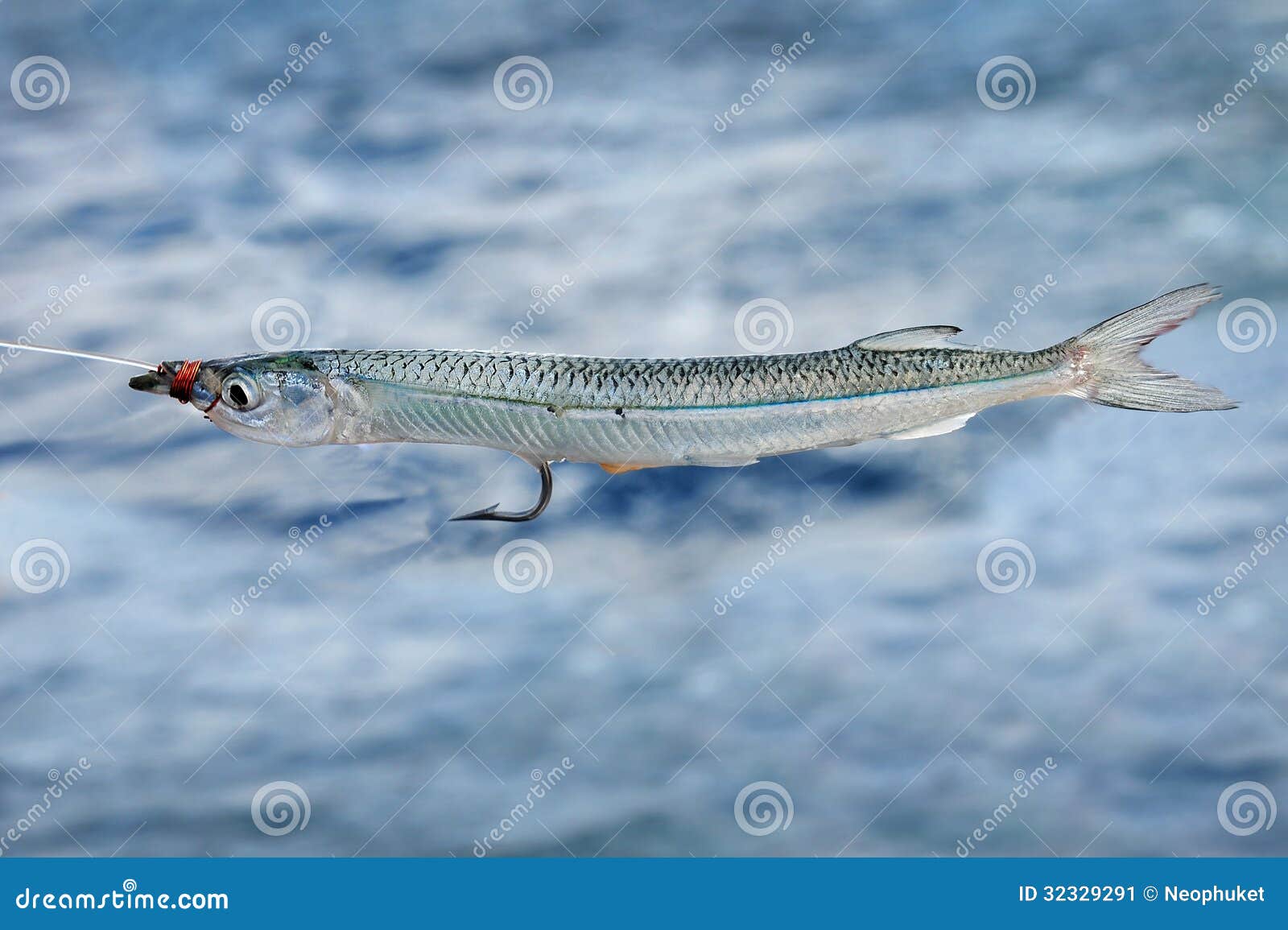 Real fish bait stock image. Image of decoy, salmon, move - 32329291