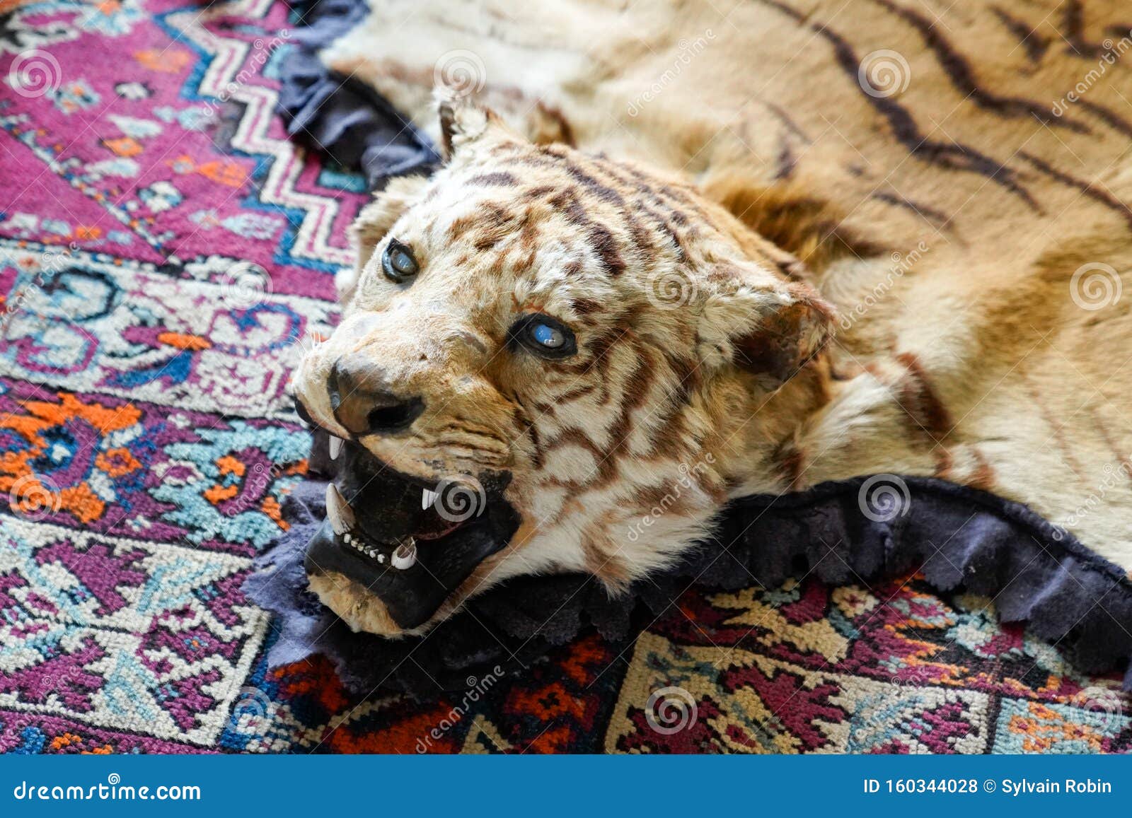 72,045 Animal Head Skin Stock Photos - Free & Royalty-Free Stock Photos from Dreamstime 72,045 Animal Head Skin Stock Photos - Free & Royalty-Free Stock Photos from Dreamstime