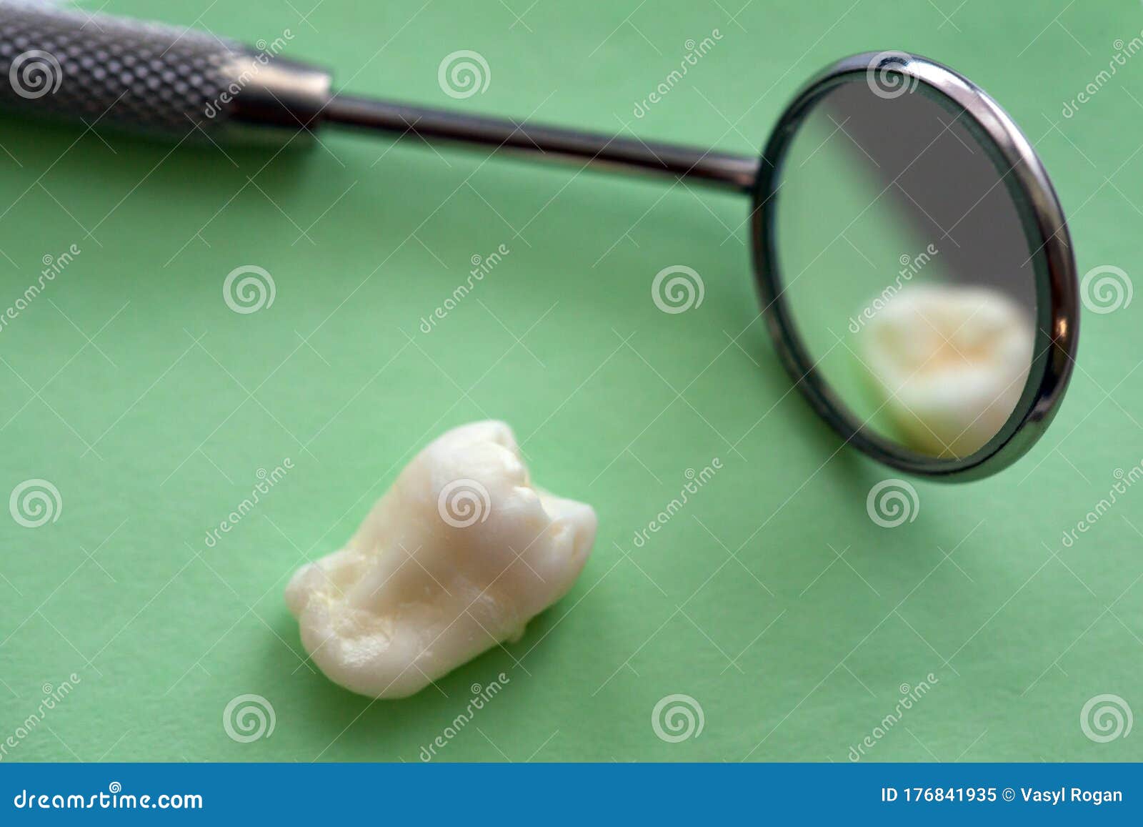Real Human Wisdom Tooth and Dental Mirror Stock Image Image of angled