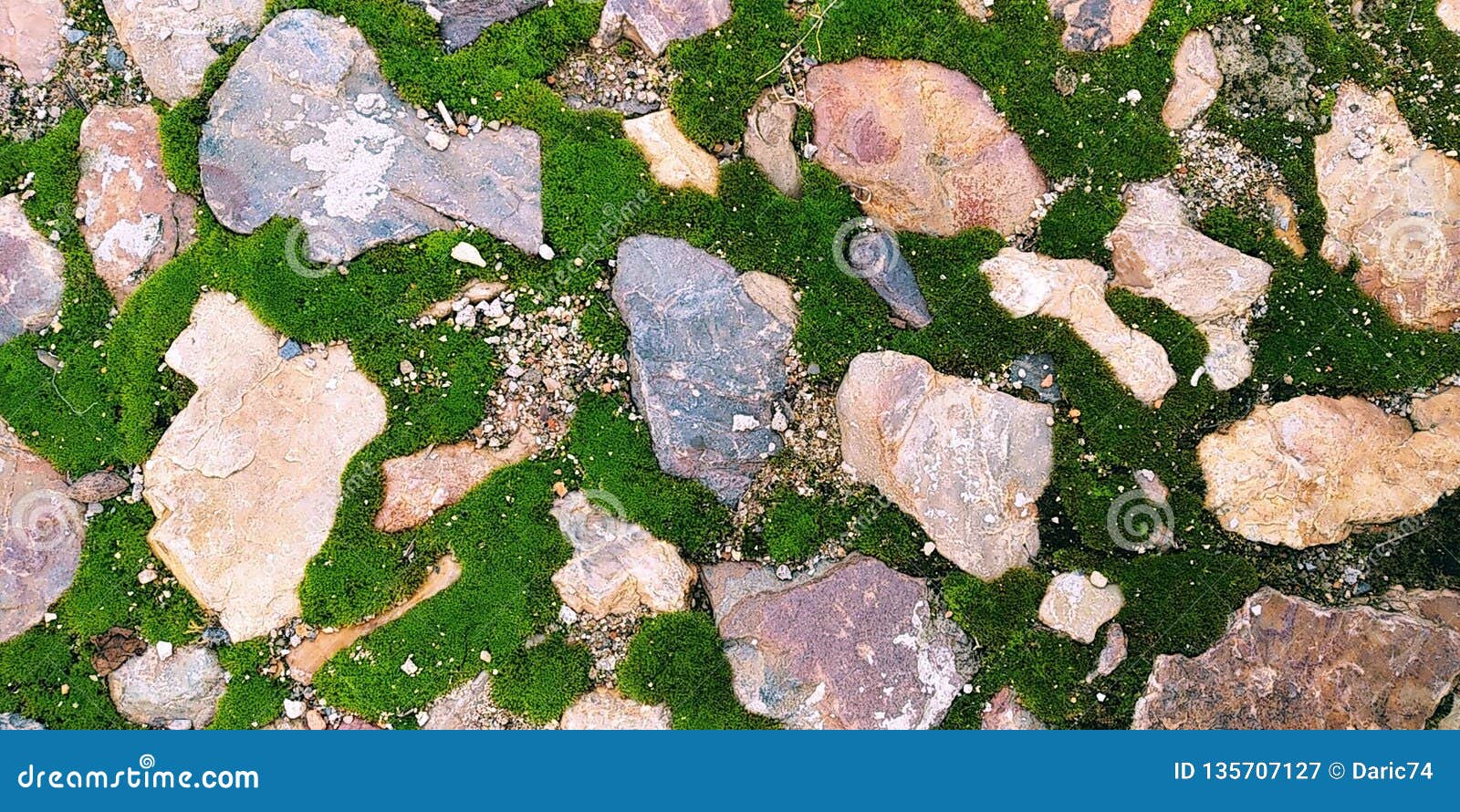 stones with green moss seamless texture