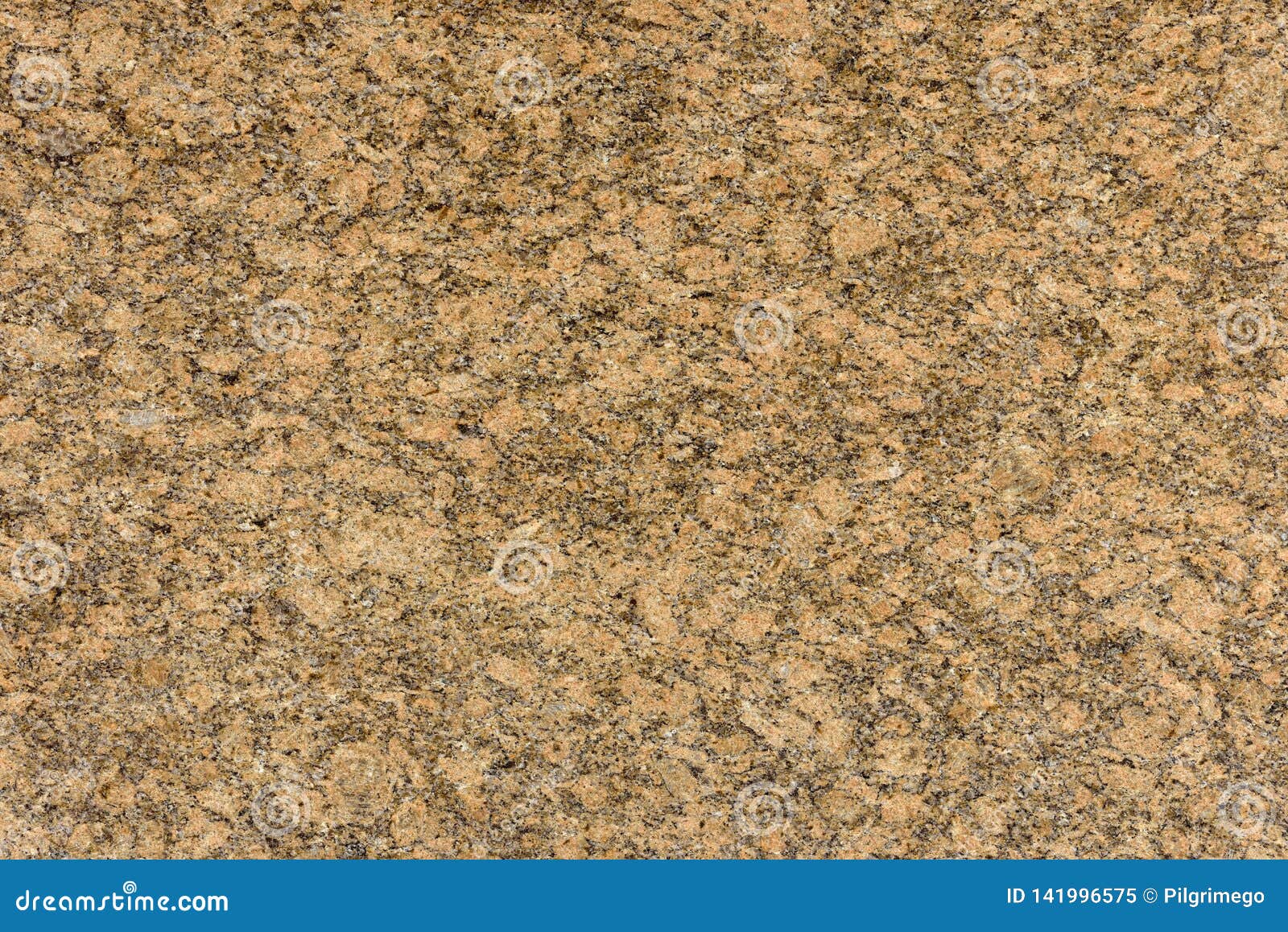 real natural `granite giallo veneziano ` texture pattern.
