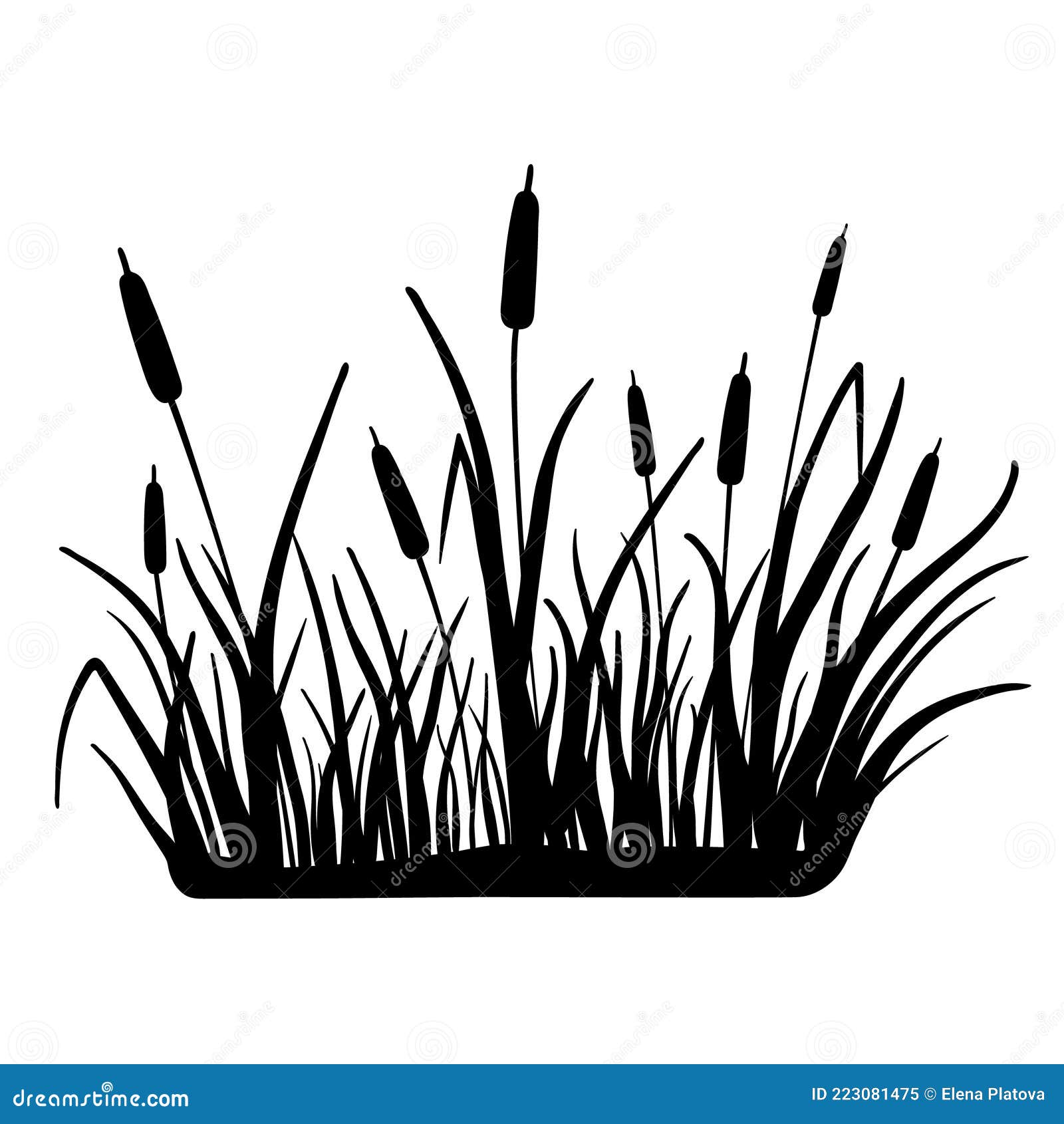 Reed Silhouette. Vector Illustration Isolated On White. Plants On Swamp ...