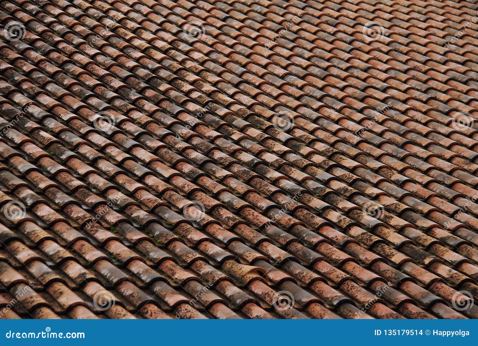 Real roof shingles stock photo. Image of structure, background - 135179514