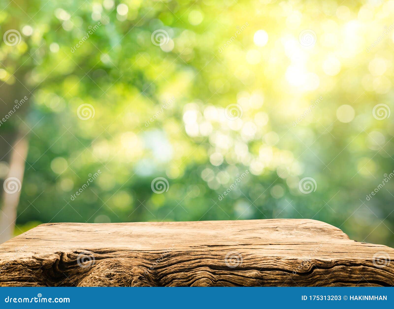 real wood table top texture on blur leaf tree garden background.for create product display