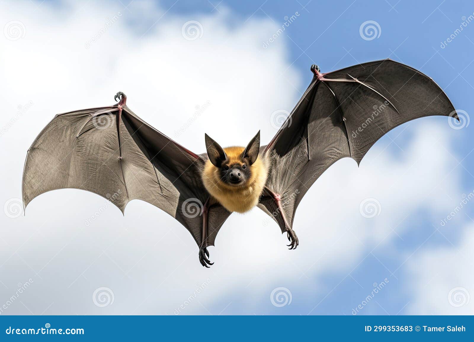 Realistic bat clipart stock illustration. Illustration of realism 299353683