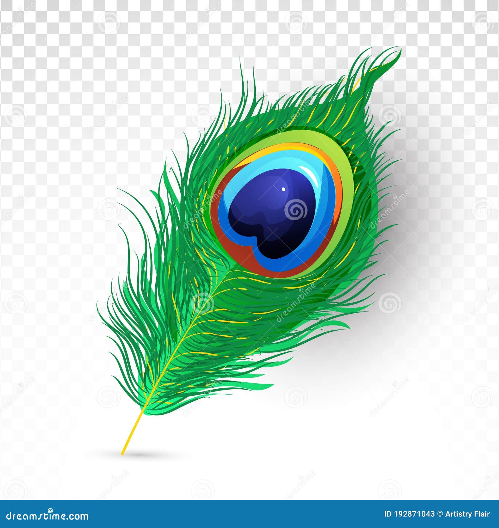 Realistic Beautiful Peacock Feather Illustration on Transparent Png  Background Stock Vector - Illustration of colorful, drawing: 192871043