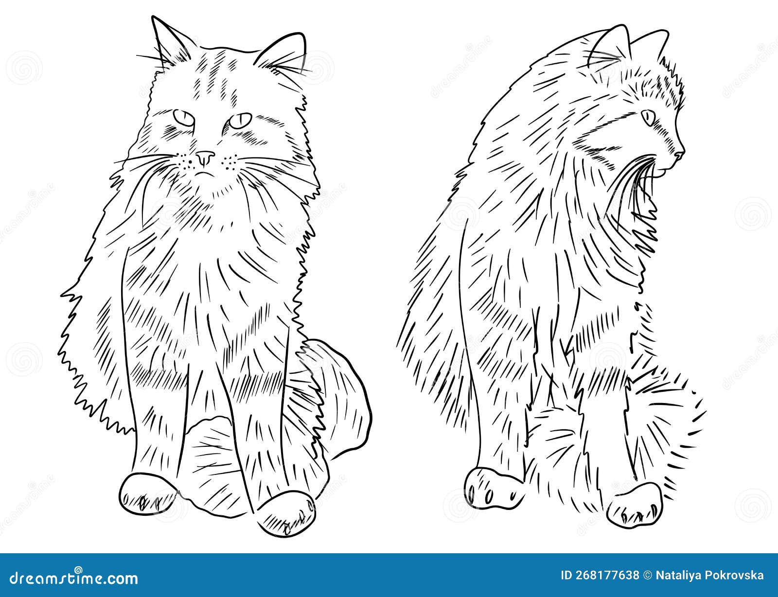 how to draw cat sitting side view