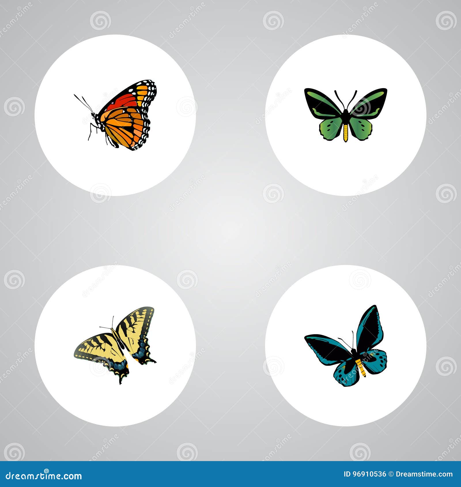 realistic checkerspot, demophoon, tropical moth and other  s. set of moth realistic s also includes