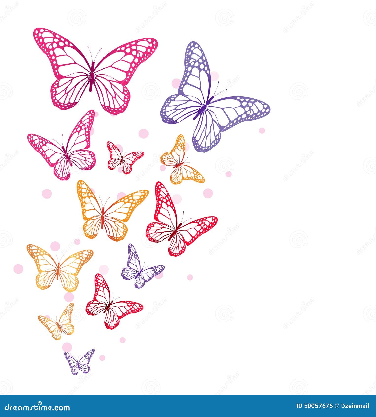 realistic colorful butterflies  for spring