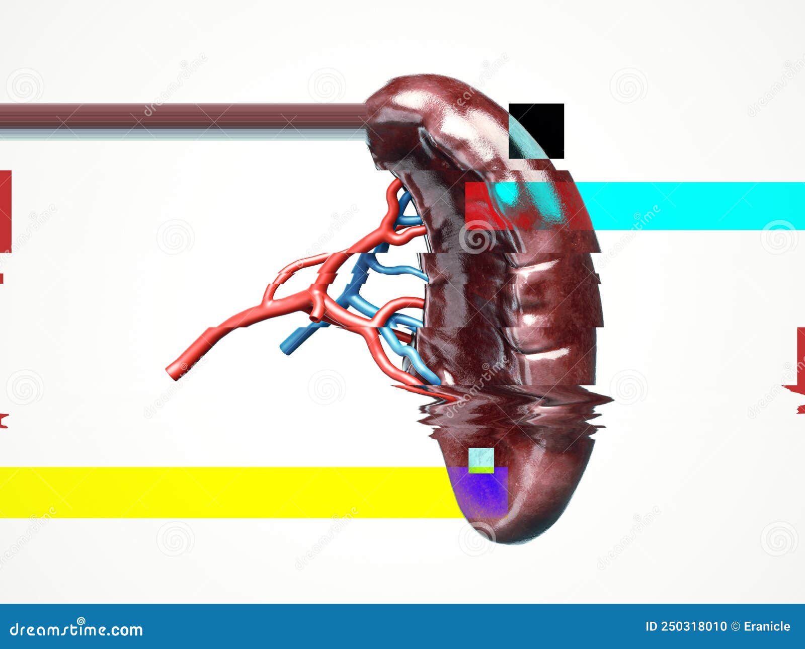 Human Spleen with Glitch Effect Stock Illustration - Illustration of ...