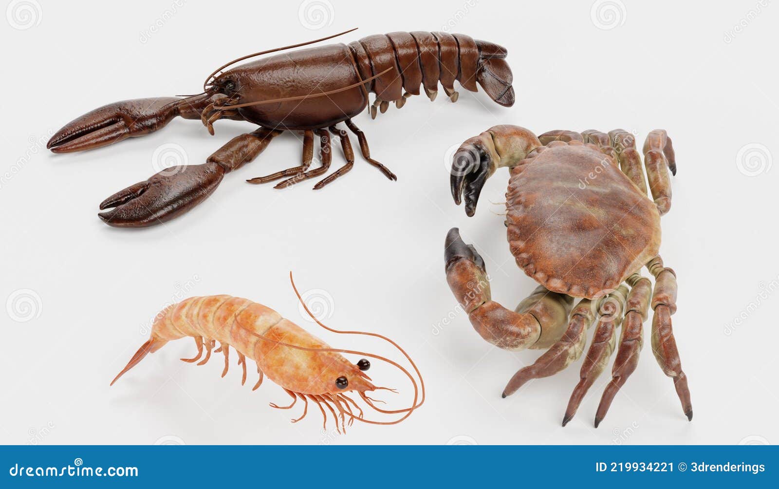 3D Render of Crustacean Edible Stock Image Image of realistic, ocean