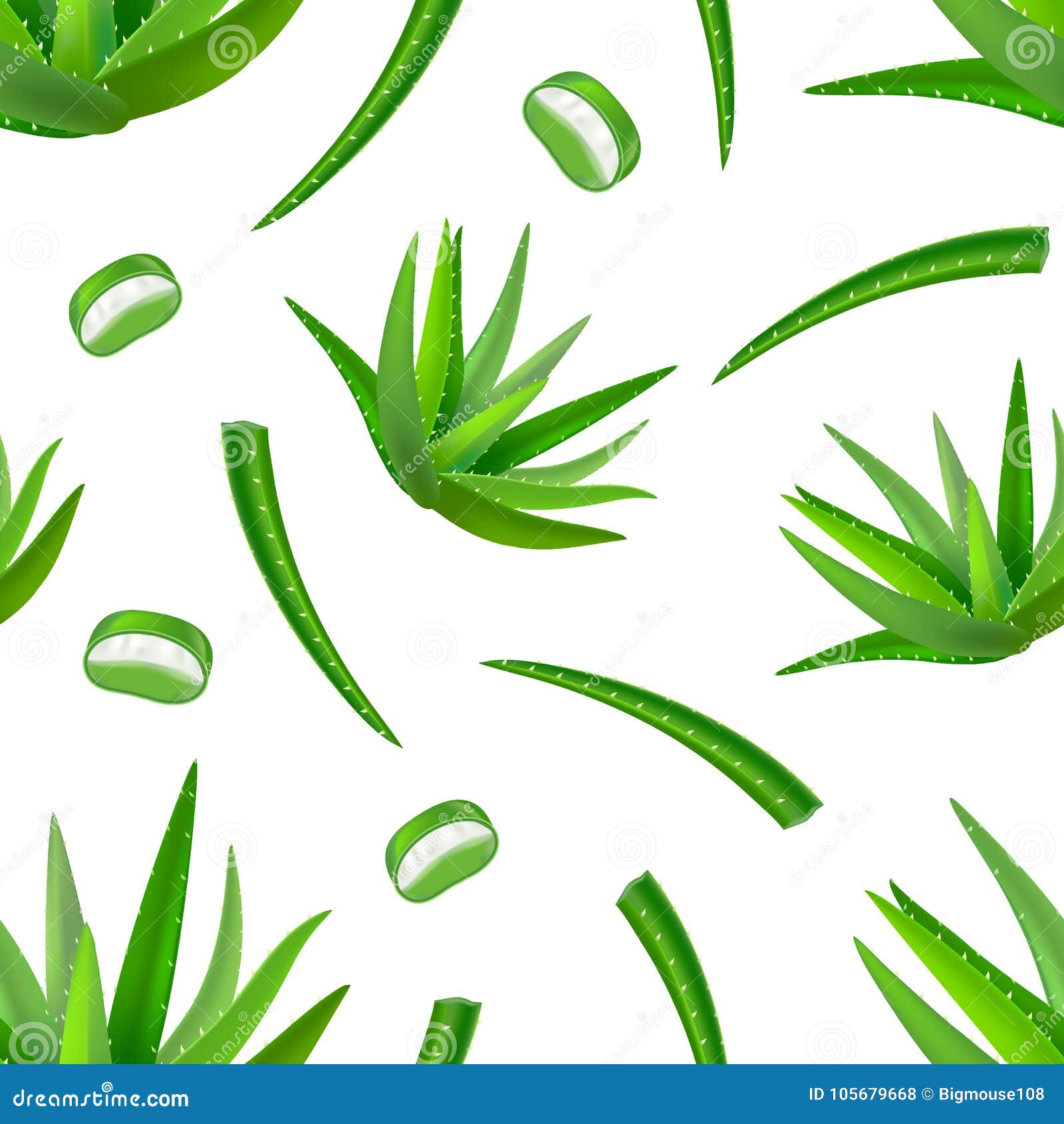 Realistic Detailed Aloe Vera Green Plant Seamless Pattern Background.  Vector Stock Vector - Illustration of plant, healthy: 105679668