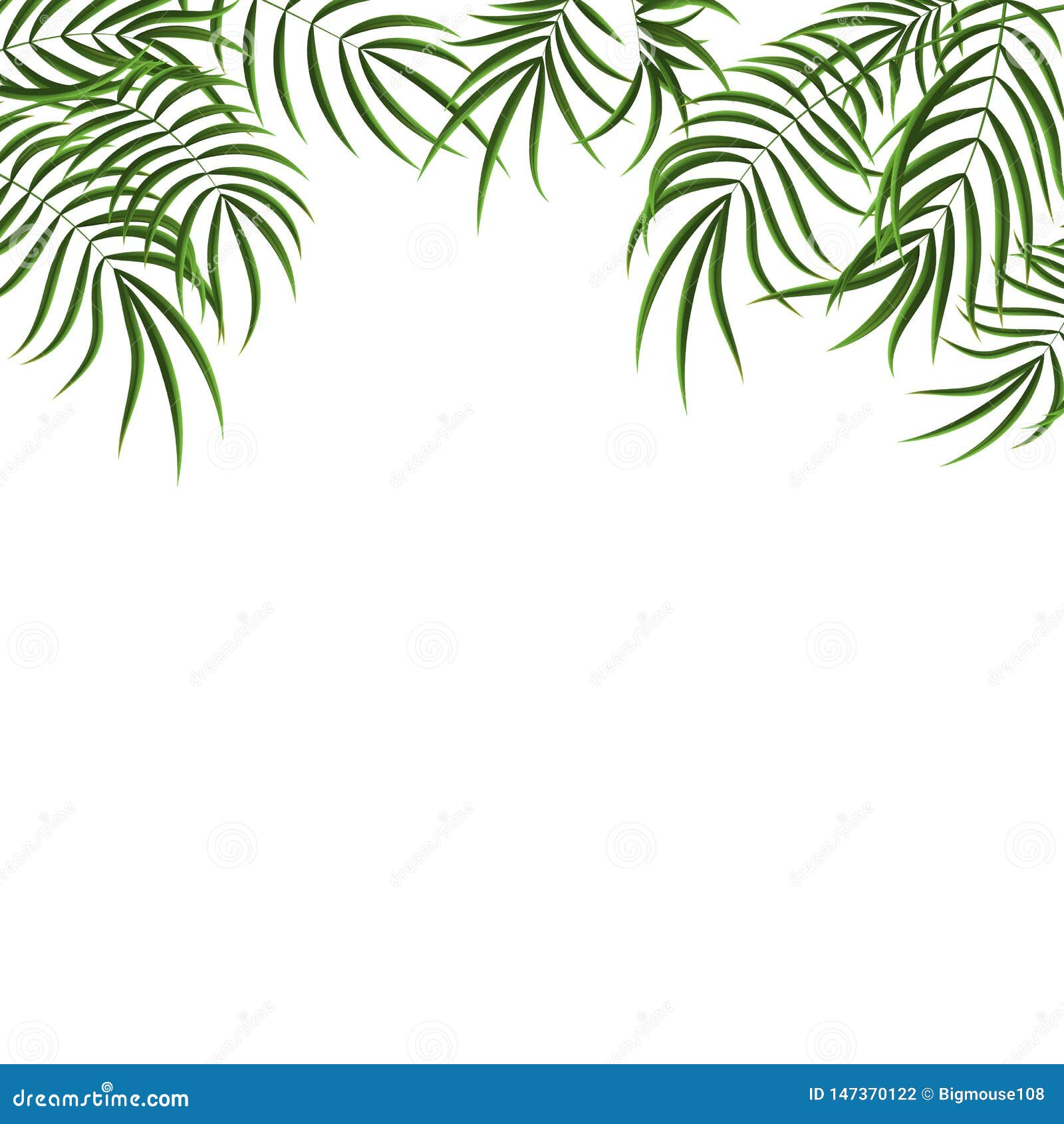 Download Realistic Detailed 3d Green Tropical Palm Tree Background ...