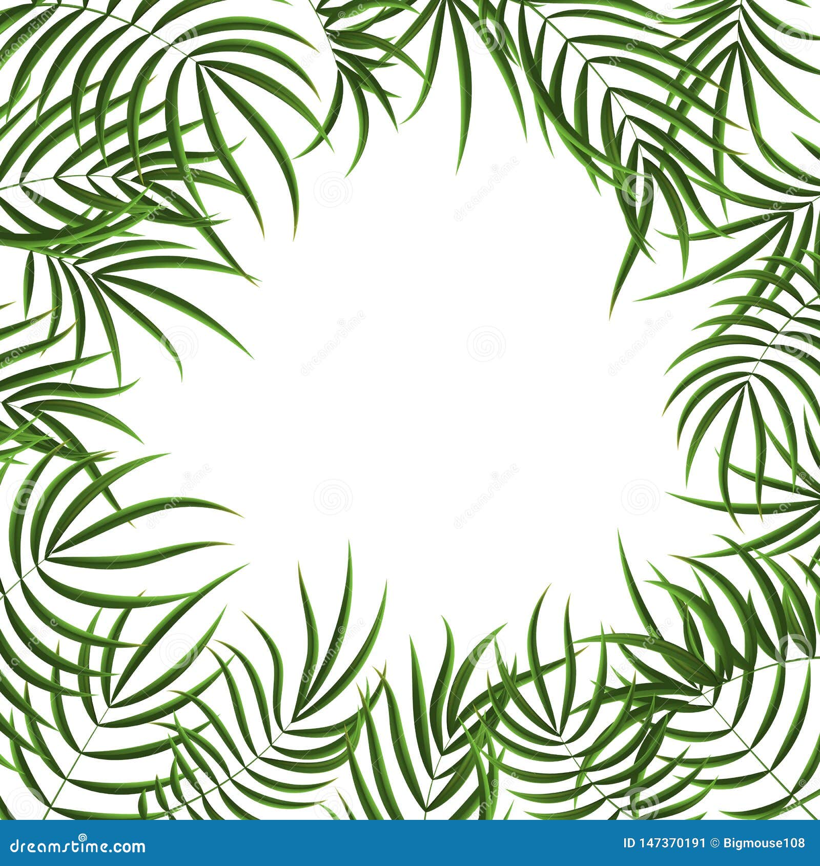 Download Realistic Detailed 3d Green Tropical Palm Tree Frame ...