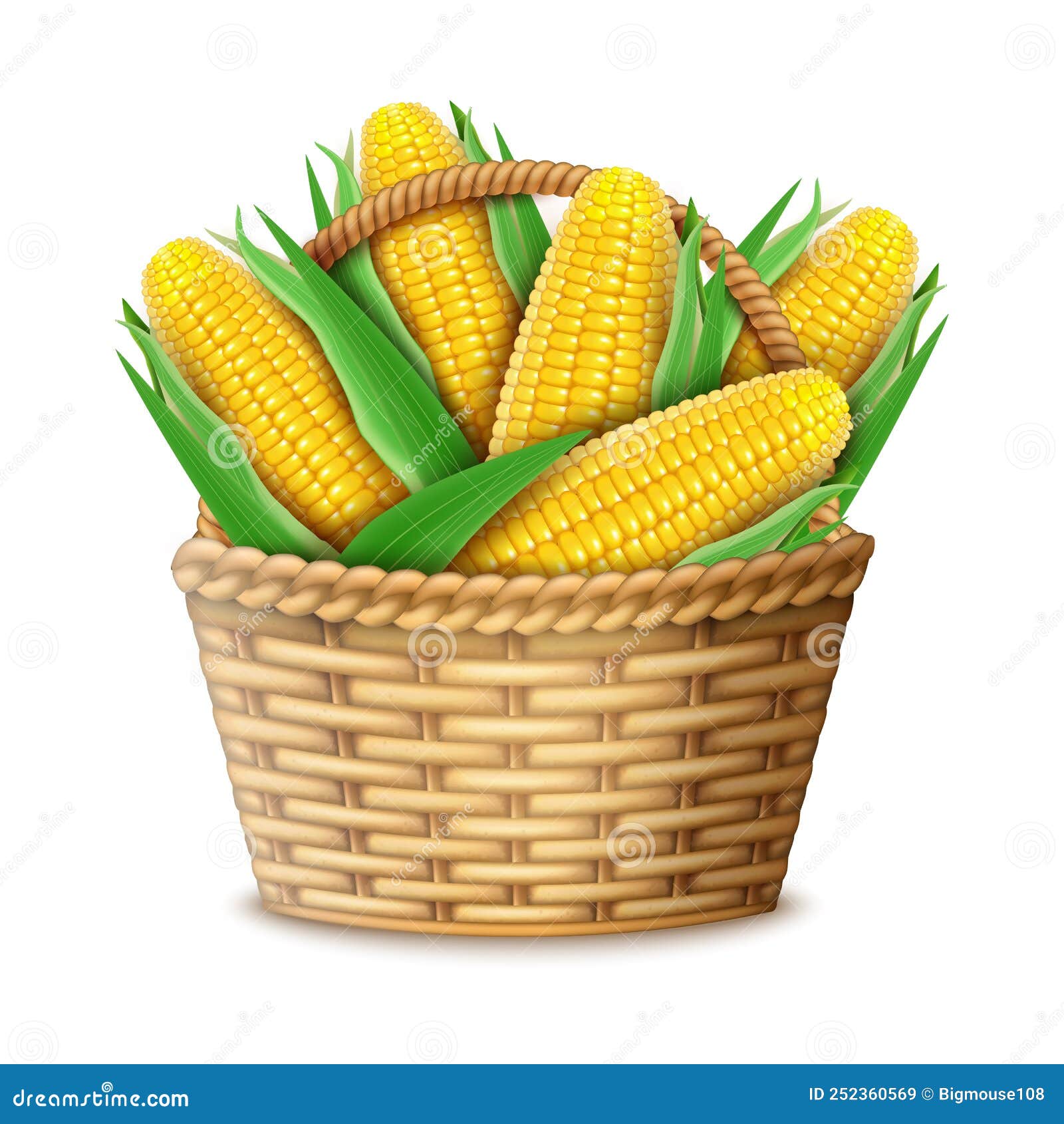 Realistic Detailed 3d Sweet Organic Corn Cob and Rattan Basket with ...