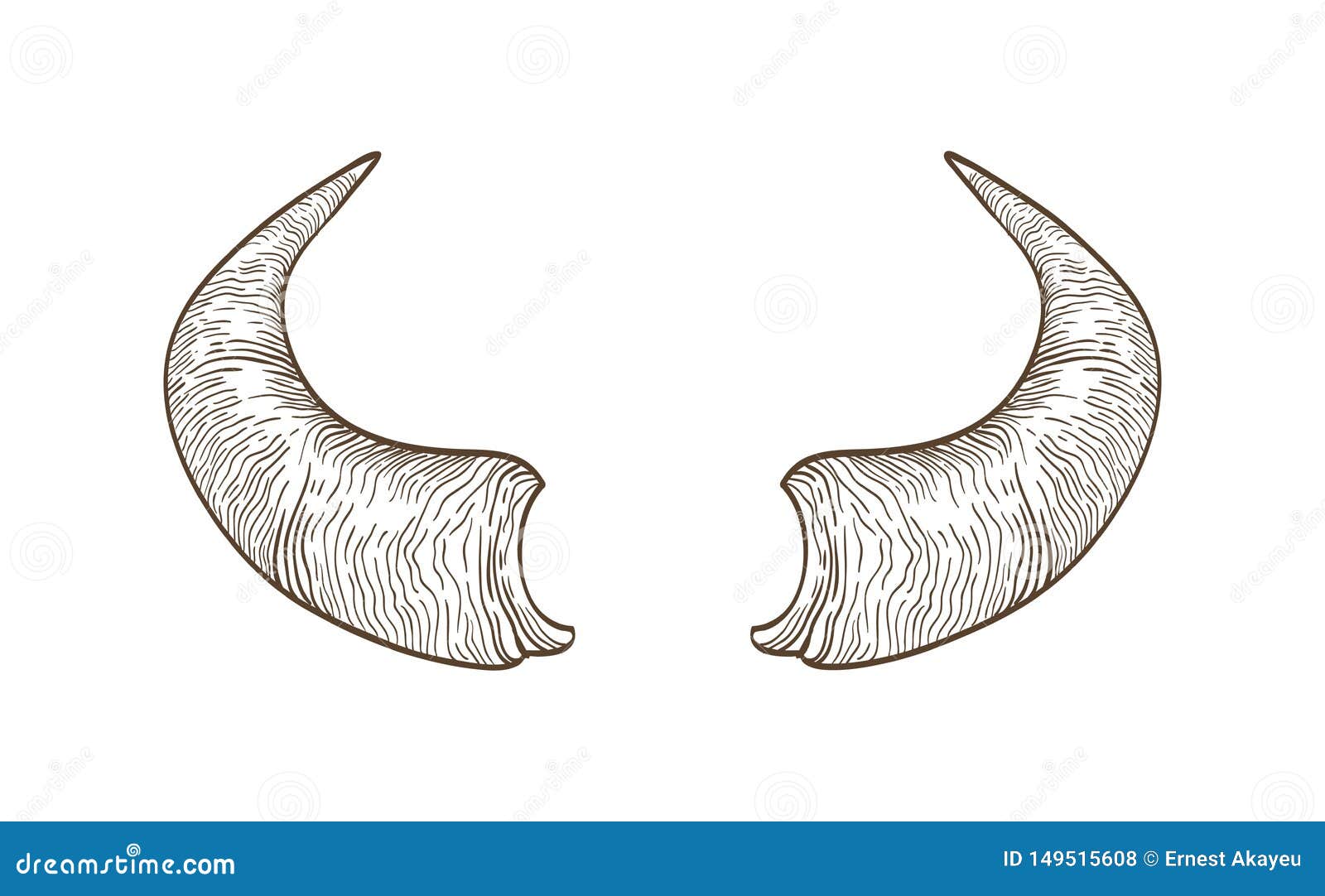 realistic drawing of horns of cow, bull, bison, buffalo or other bovine animal hand drawn with contour lines on white