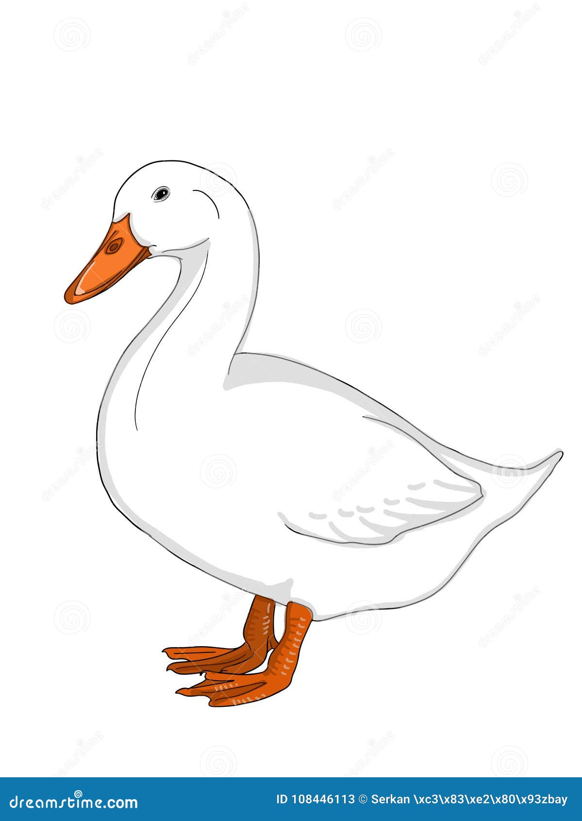 Duck Drawing Vector Art Icons and Graphics for Free Download