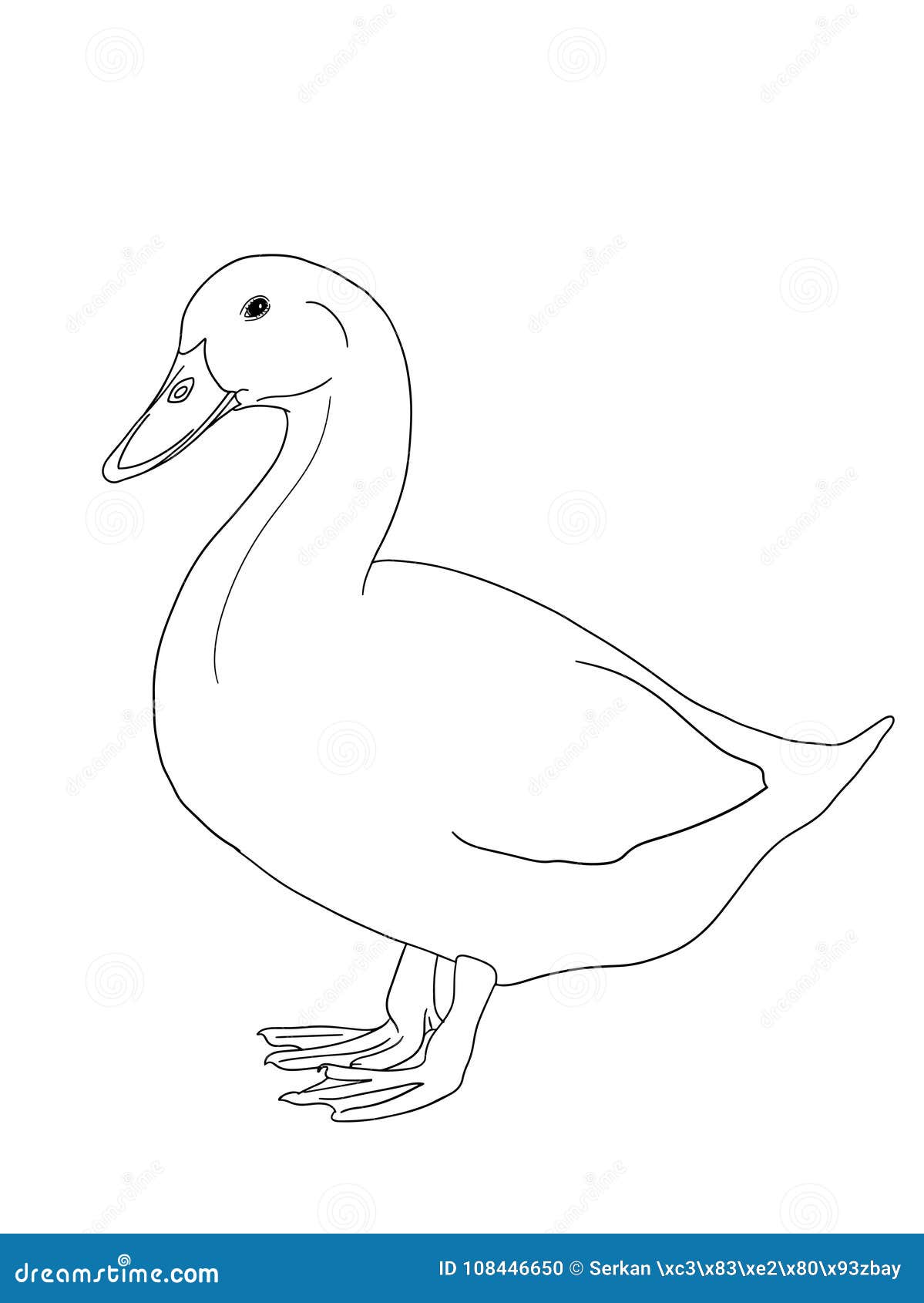Duck Drawing 🦆 How to draw a Duck - YouTube