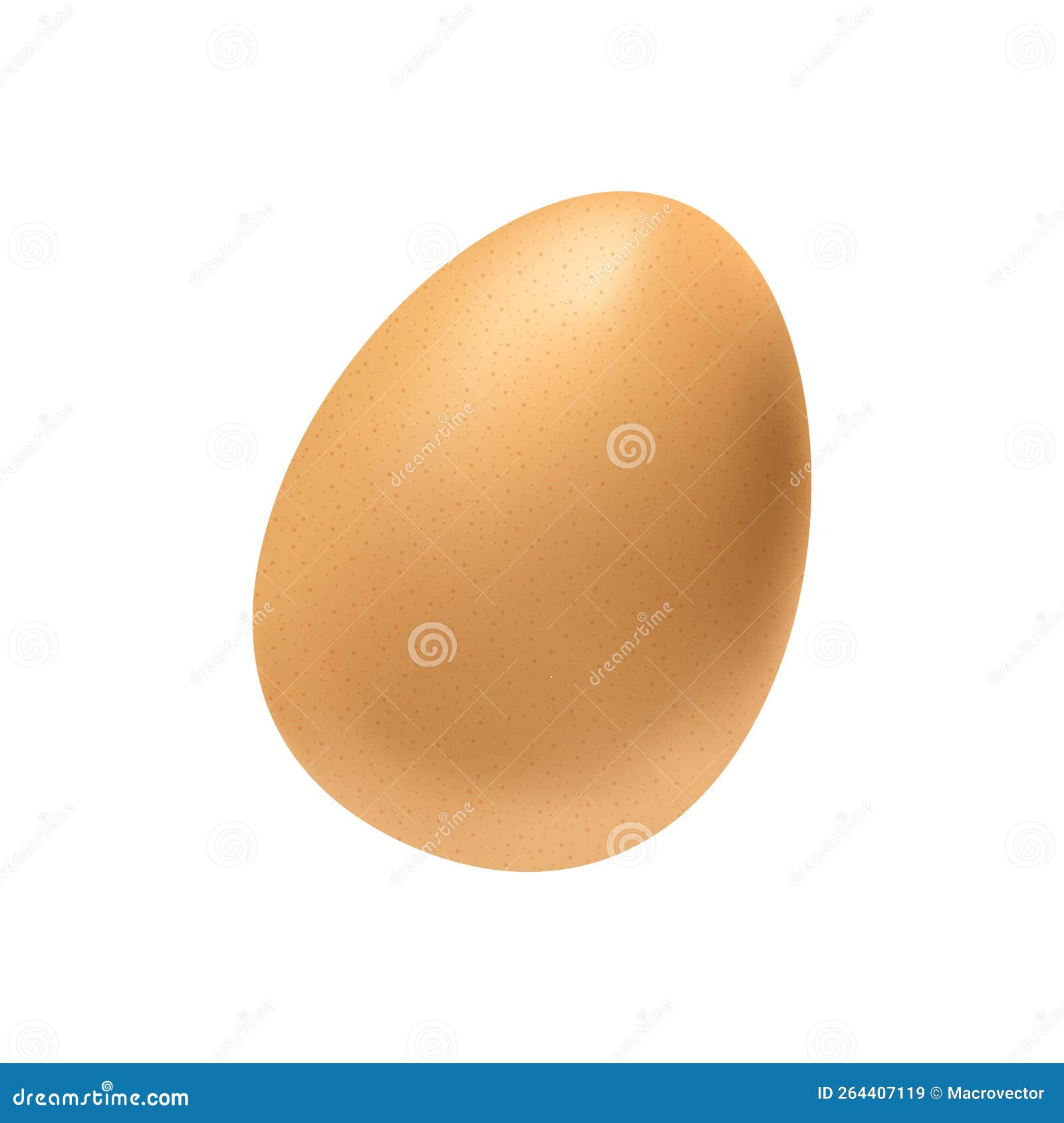 Realistic Egg Lifecycle Composition Stock Illustration Illustration