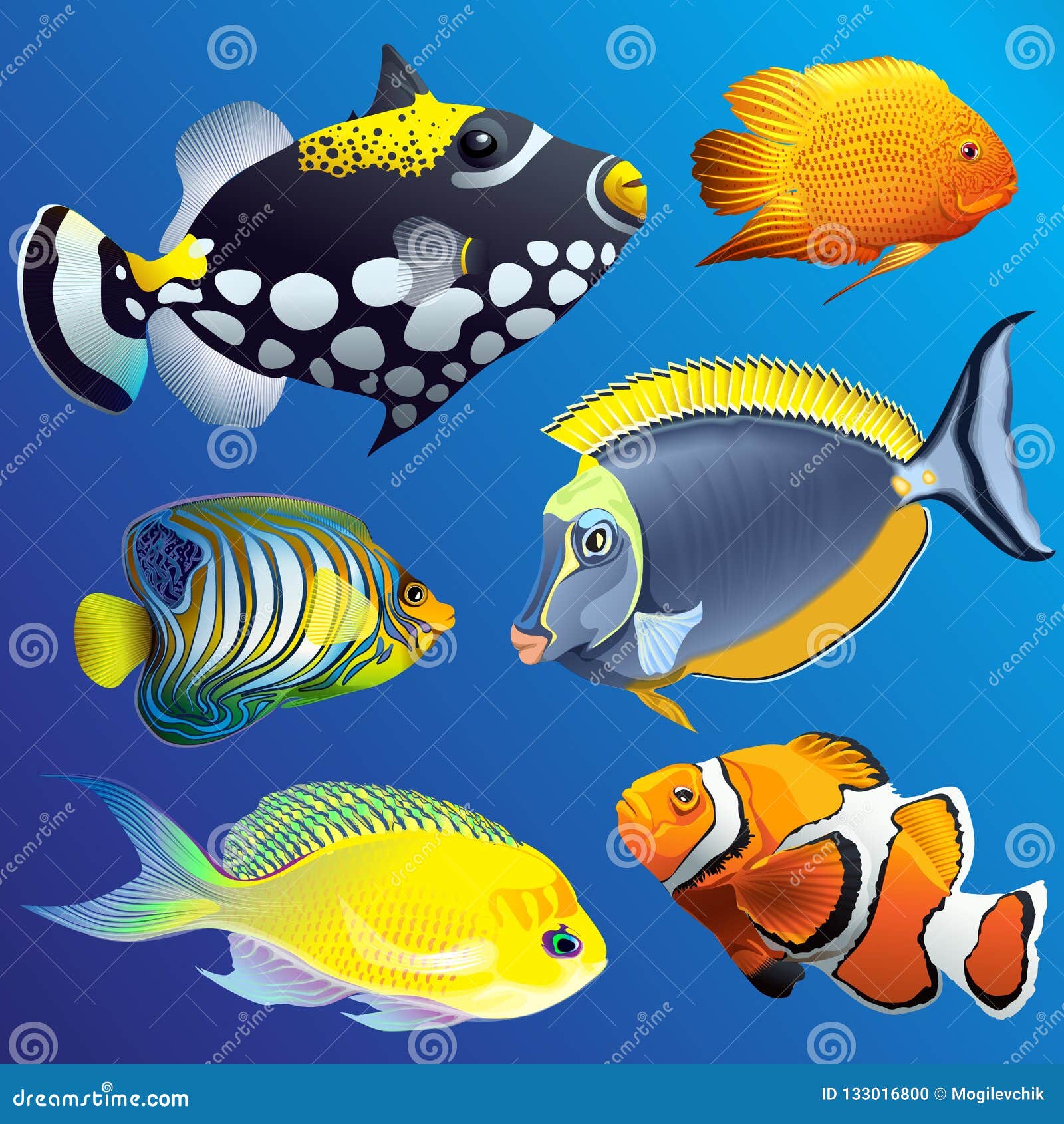 realistic exotic marine underwater fauna set