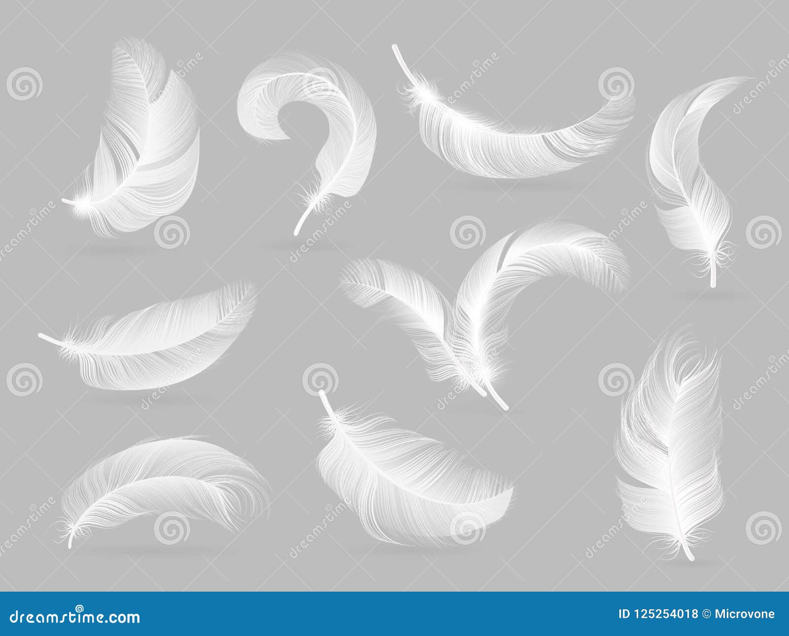 Realistic white soft goose feathers fluffy Vector Image