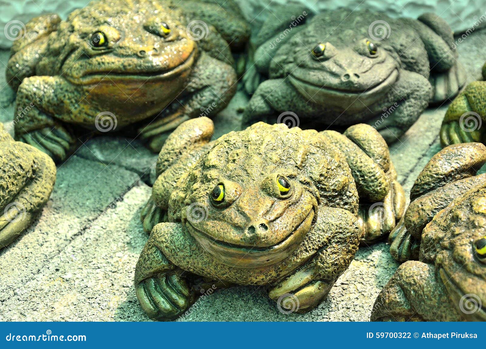 101 Realistic Frog Stock Photos - Free & Royalty-Free Stock Photos